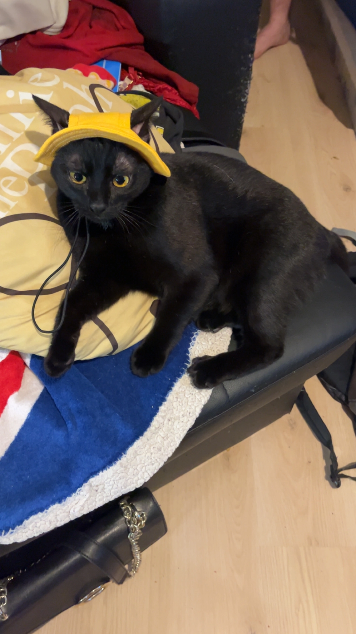 Flash - Rue Des Poiriers, Domont