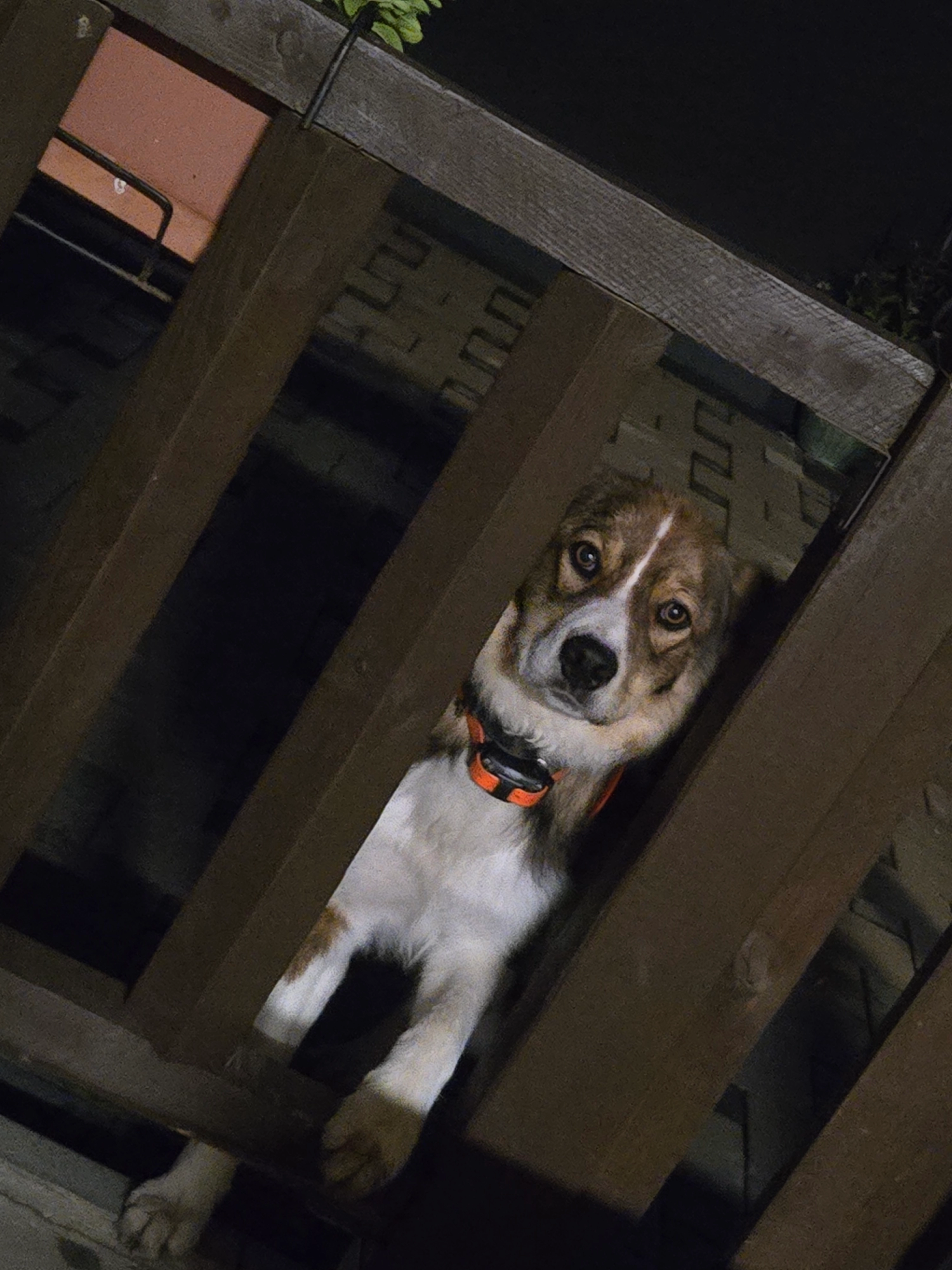 Vino - 3 Route Nationale 83, Eguisheim