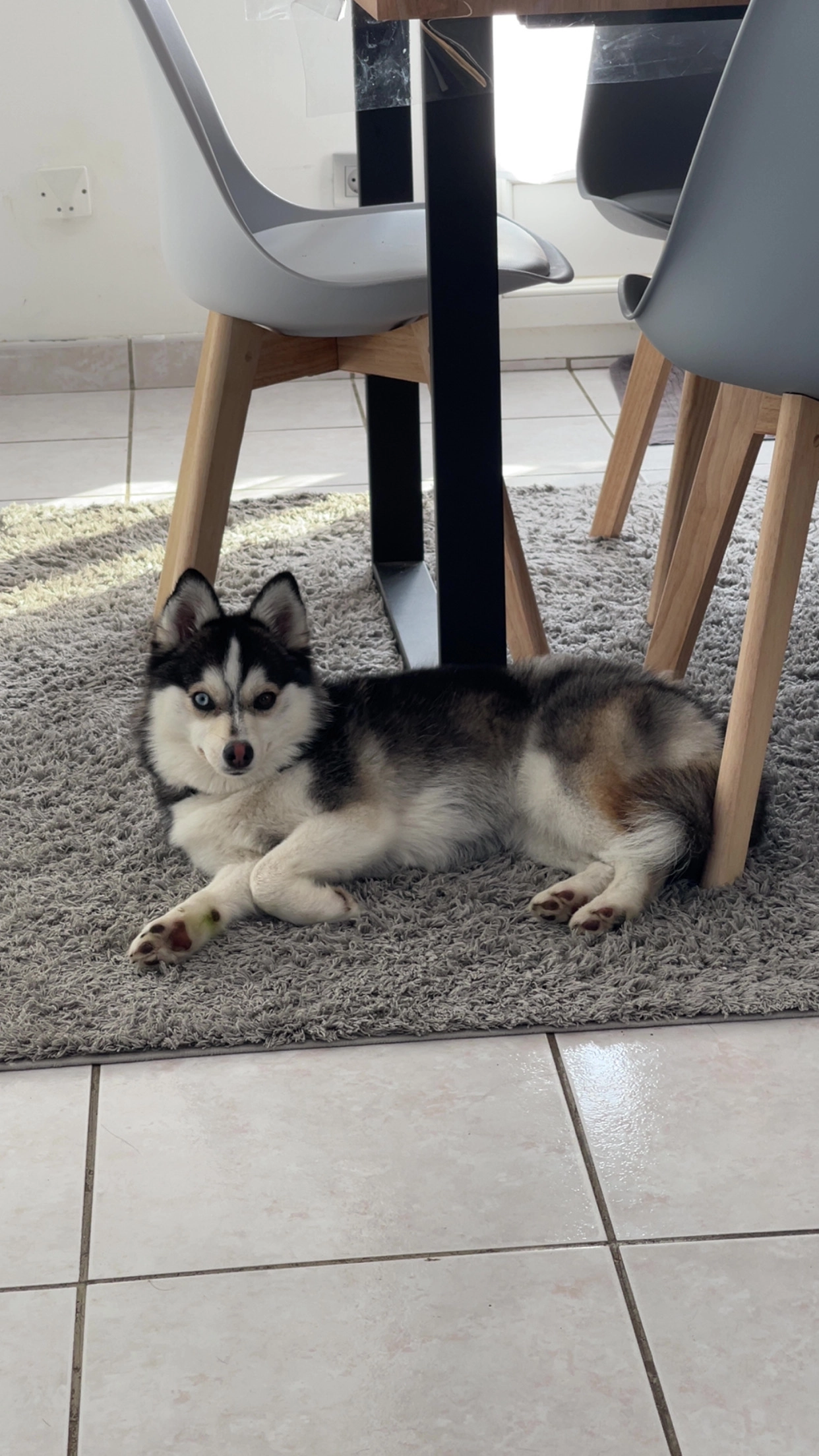 Viky  - Rue Pierre Dupont, Cormeilles-en-Parisis