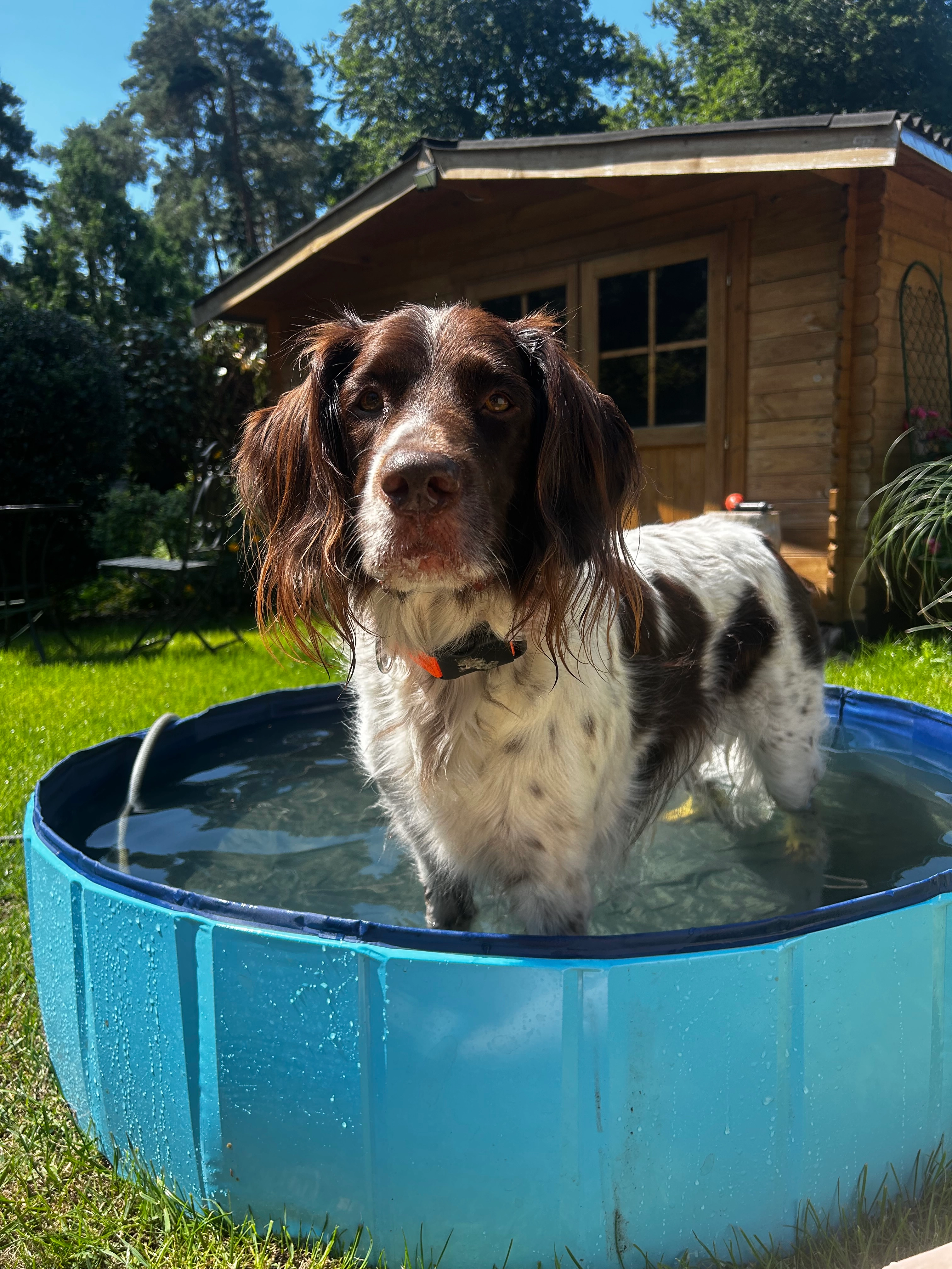 Leo - Straße Der Jugend, Schönwalde-Glien