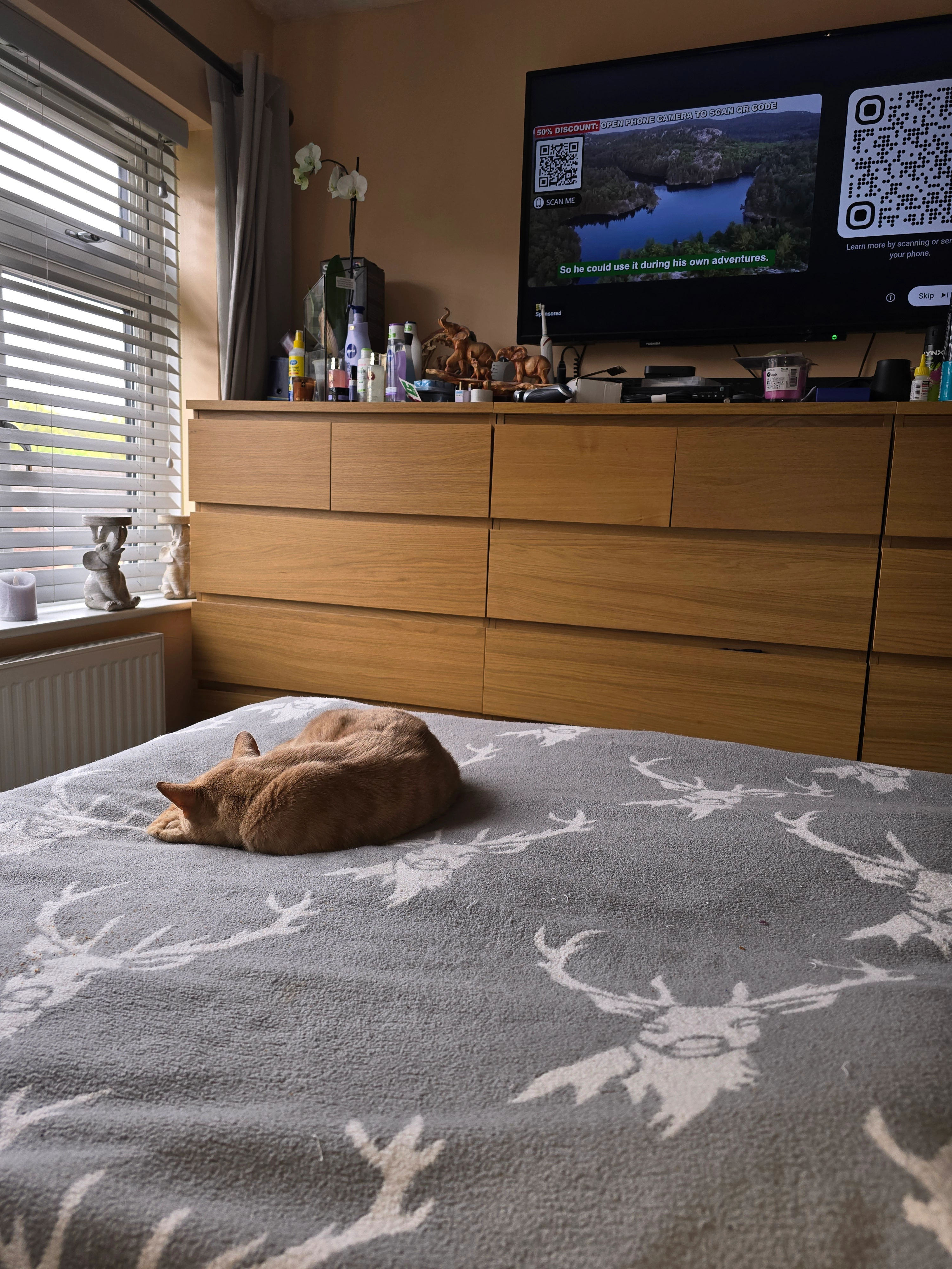 Gingin - Shireoaks Road, Dronfield