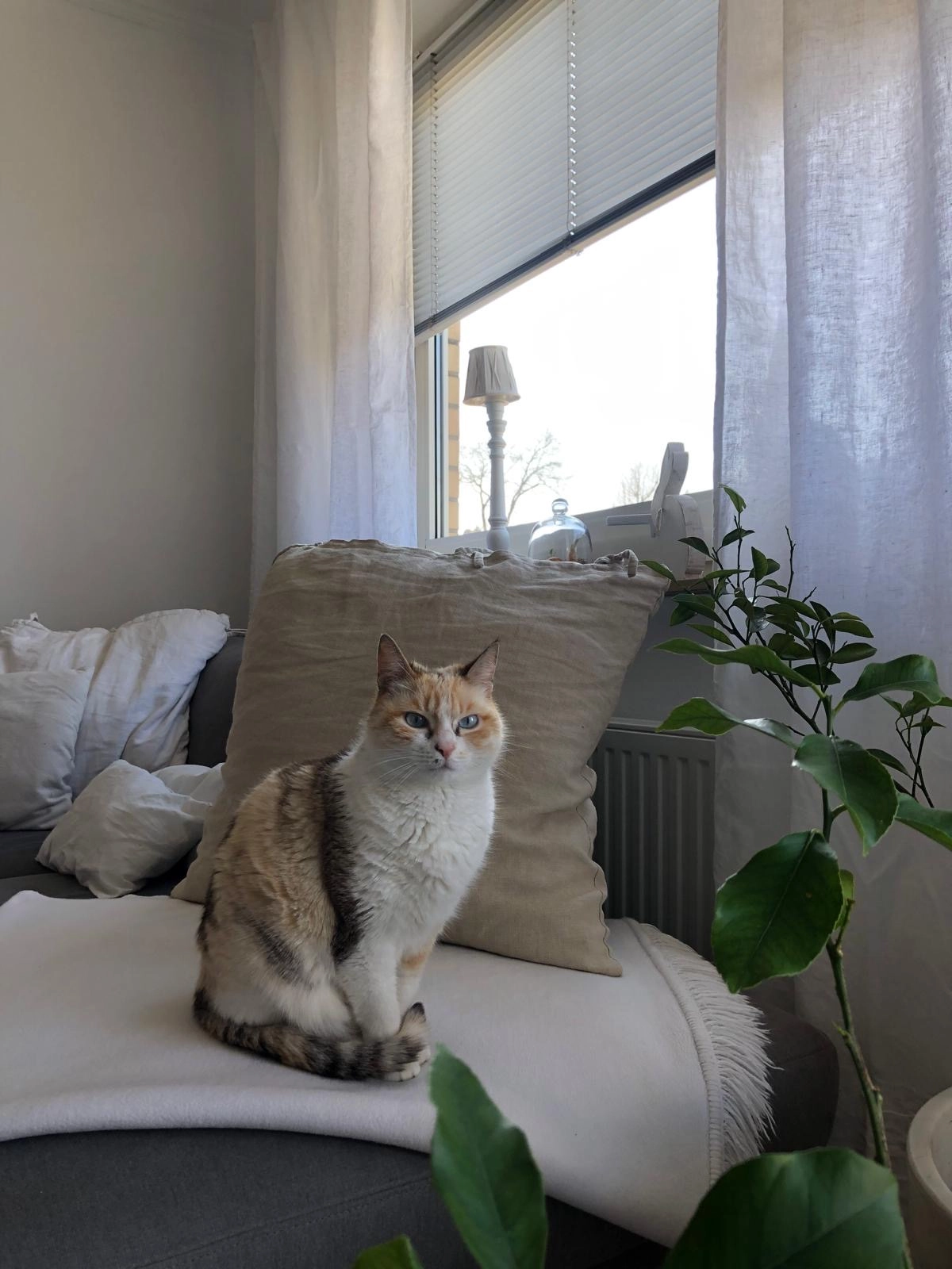 elli - Am Seeth, Uetersen