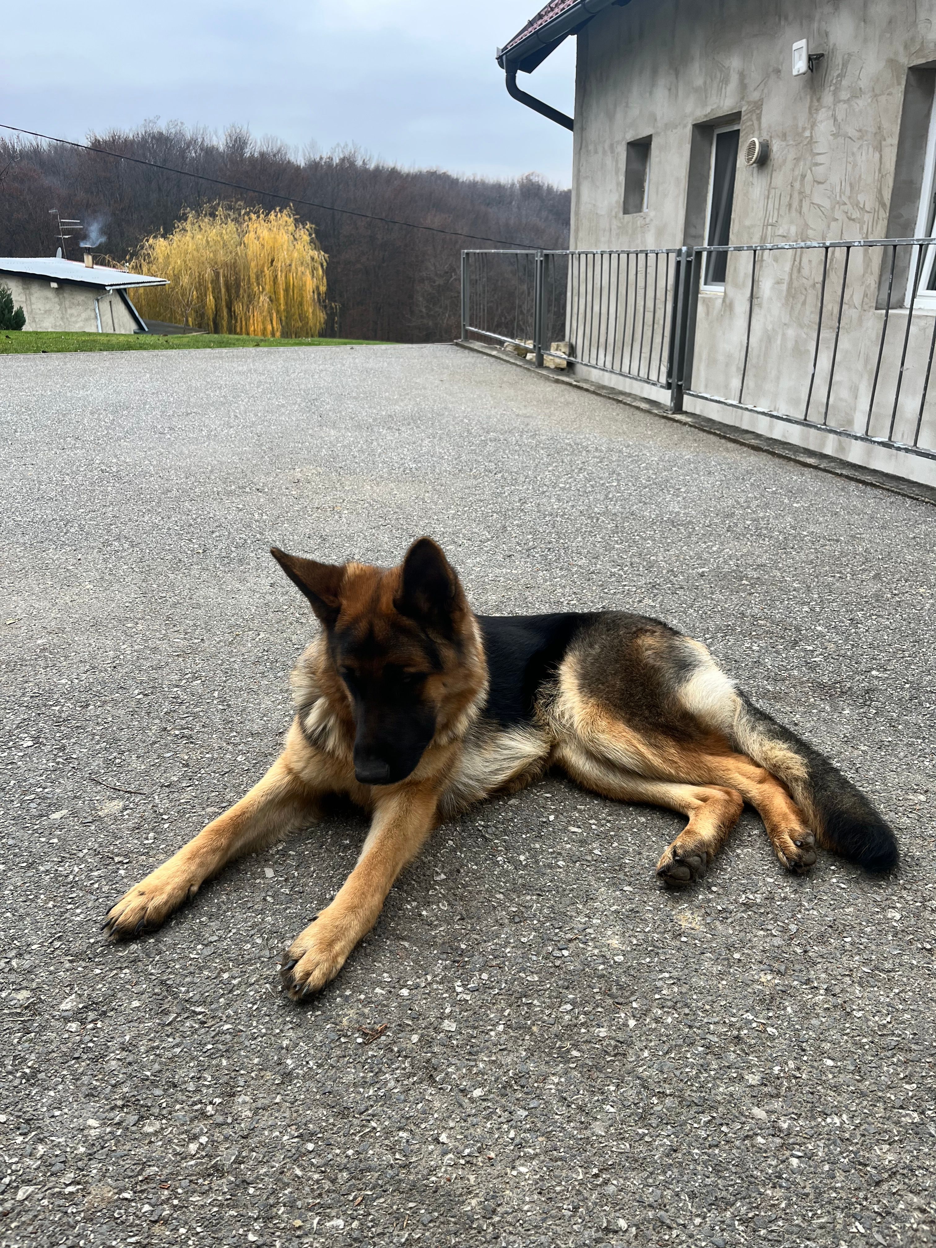 Rea - Ulica Krešimira Kapeša, Varaždinska