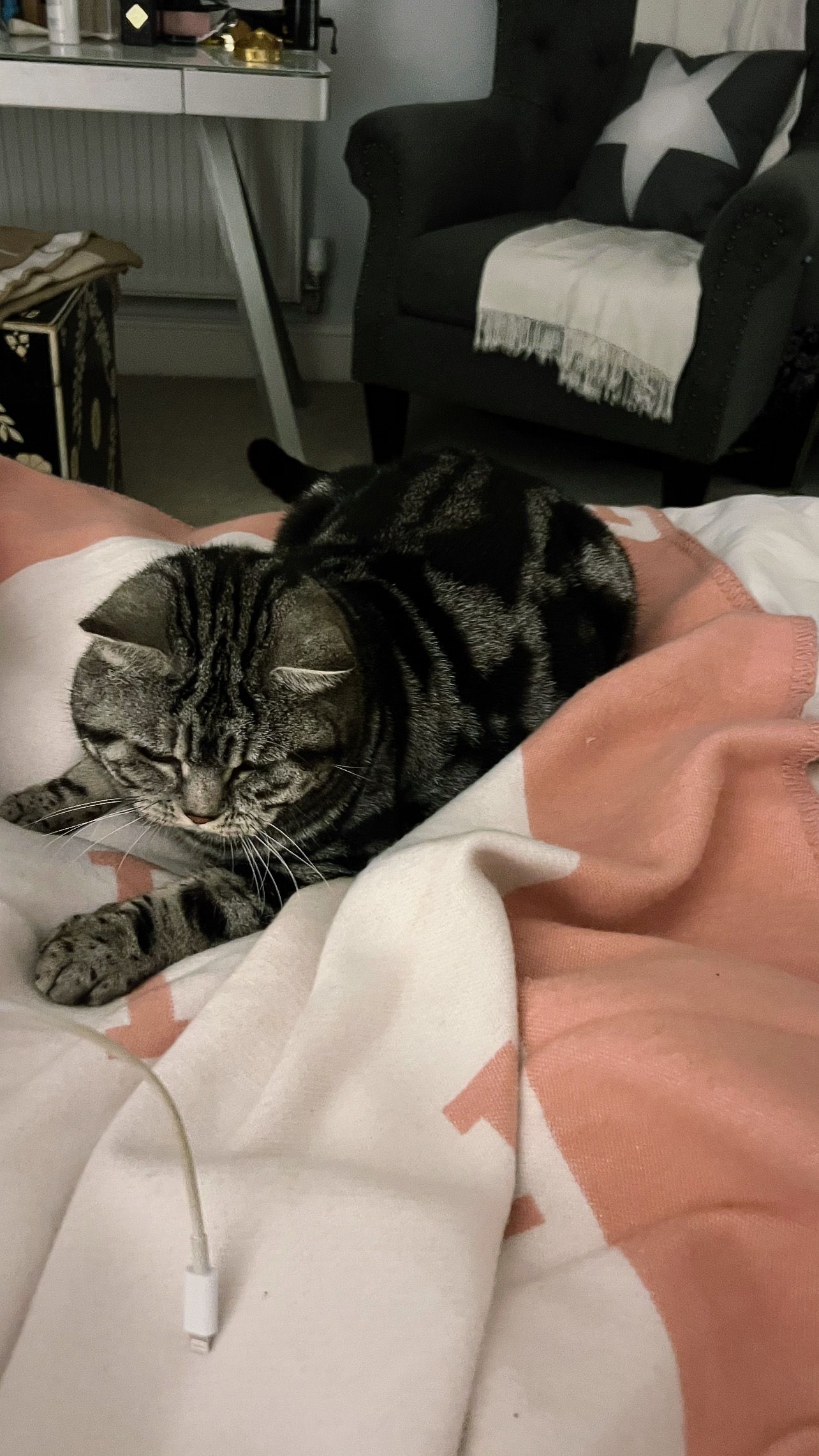 Willow  - Moat Lane, Chester