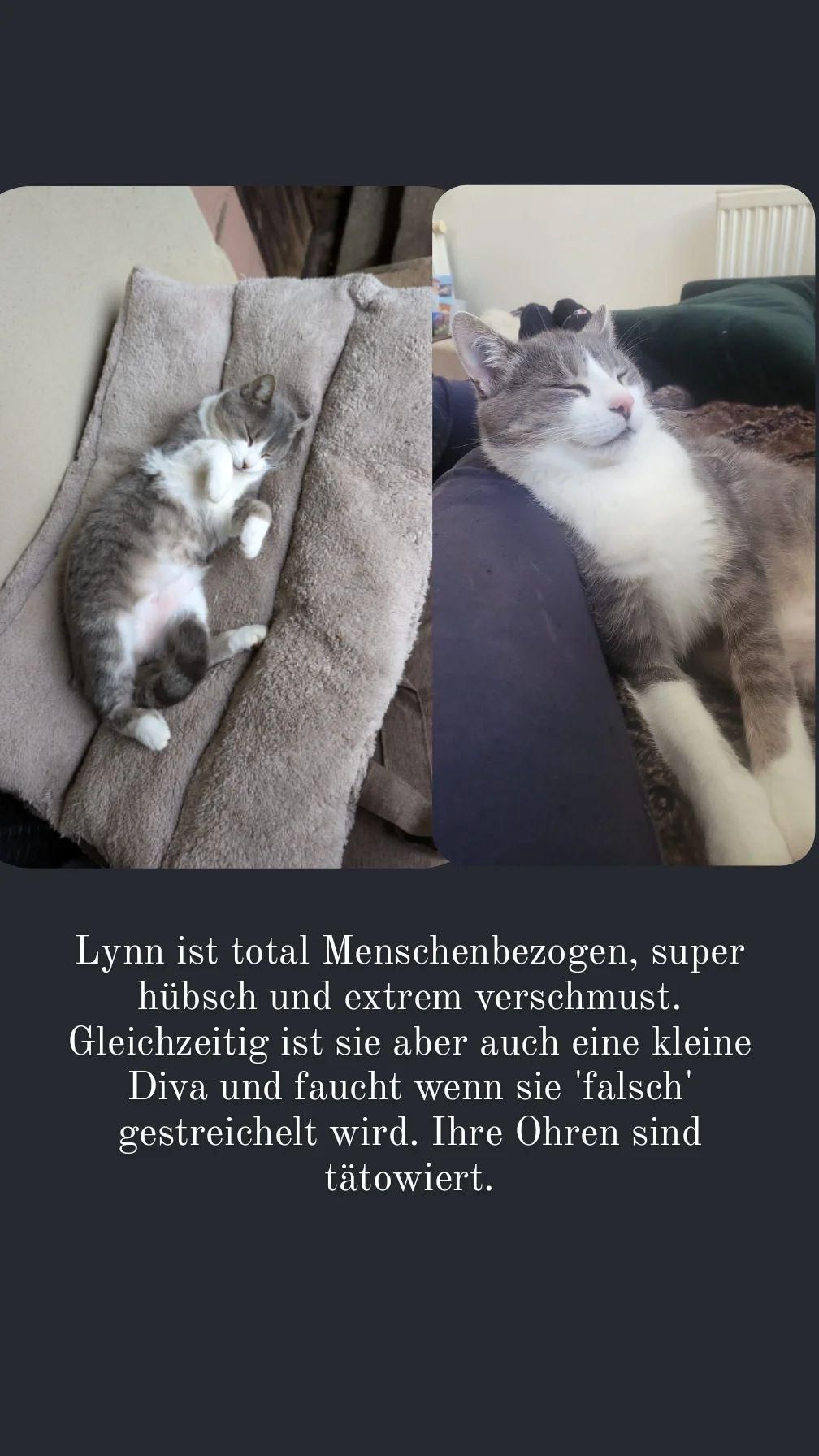 Lynn - Das Große Ried, Ettenheim