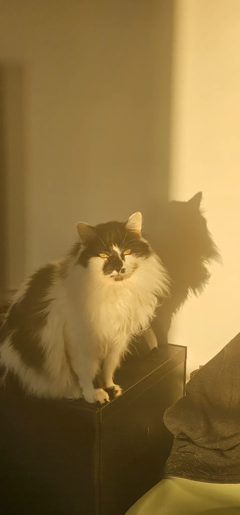 Felix - Via Lecce, Vernole