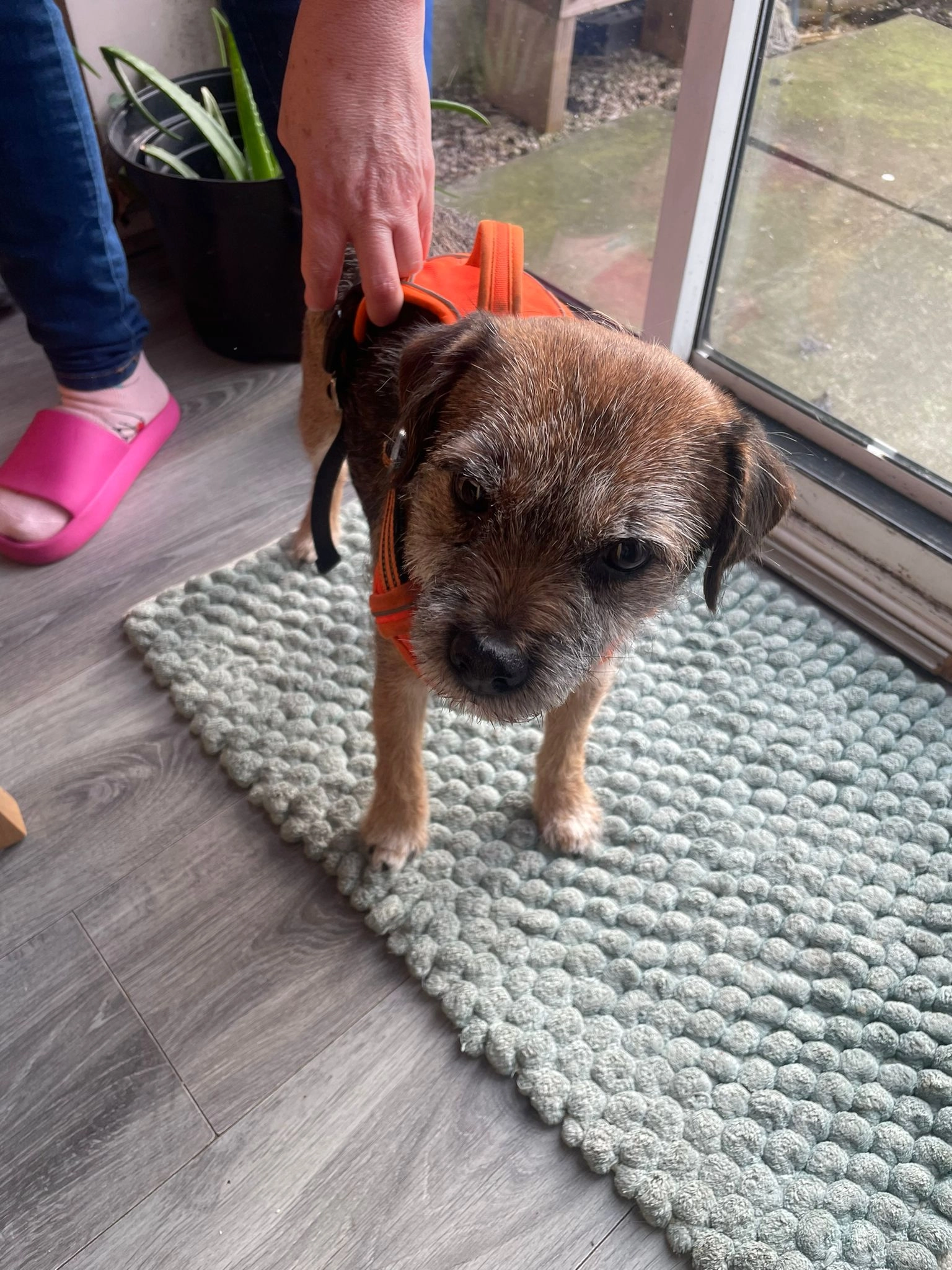 Molly  - M38 0, Manchester