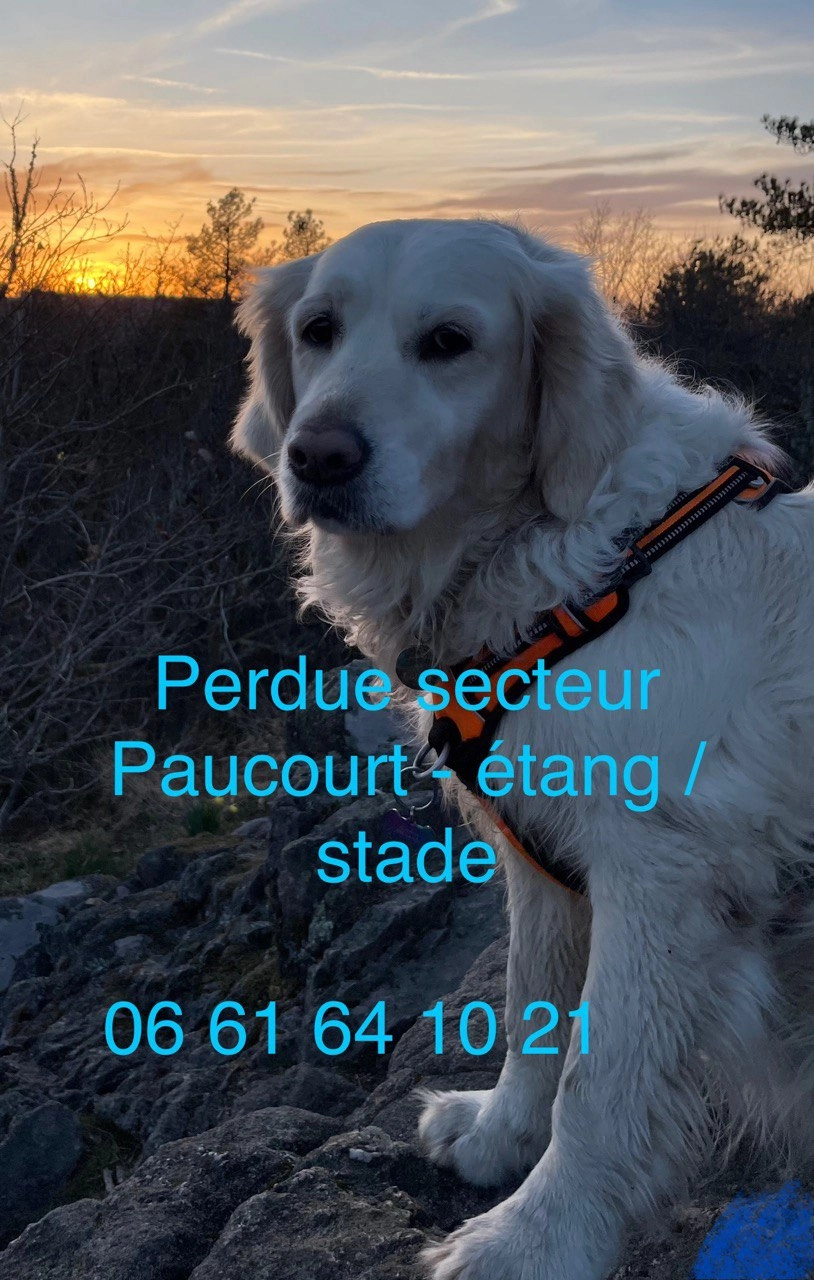 Nana - Route De La Réserve, Paucourt