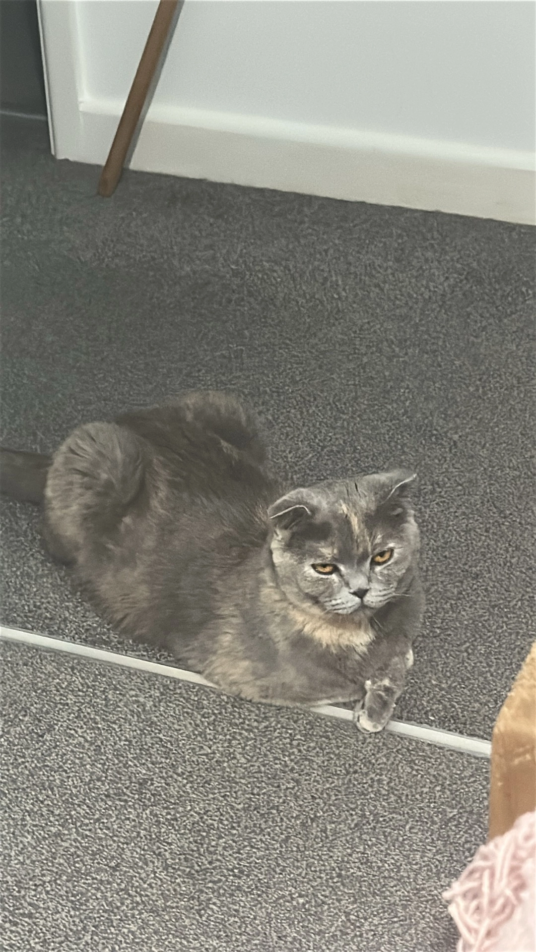 Astra - 274 Thorney Leys, Witney