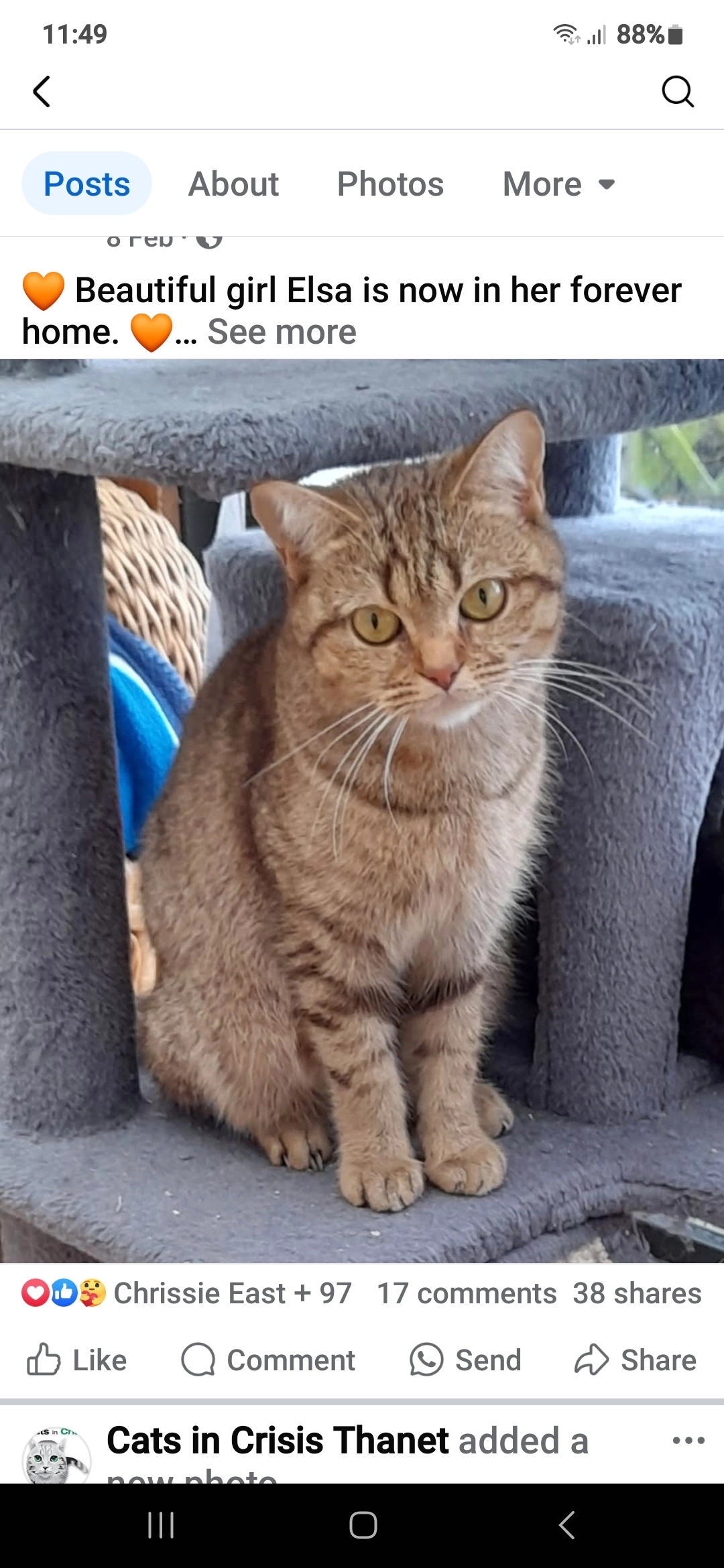 Elsa - Abbots Hill, Ramsgate