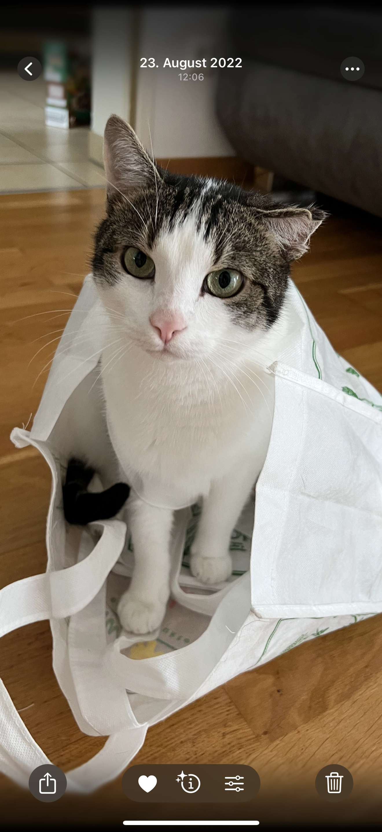 Cesar - Pfarrfeldstraße, Bischofstetten