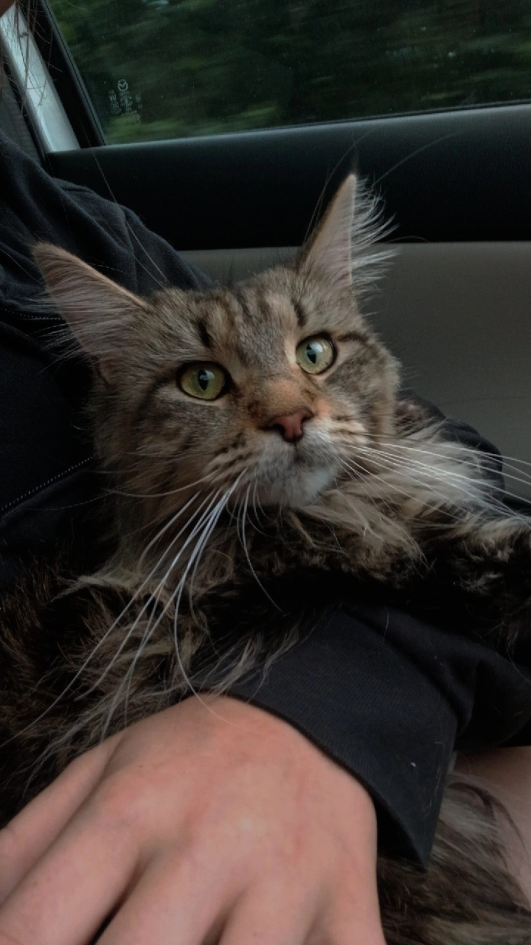 Milka - Sachsstraße, Gaimersheim