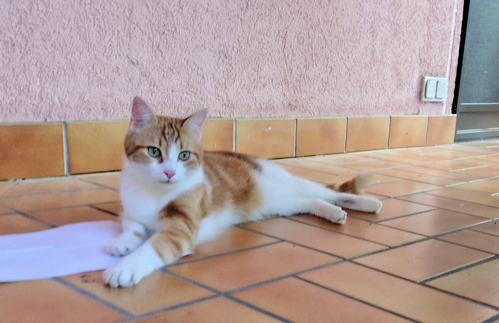 Oli - Max-Planck-Straße, Erlangen