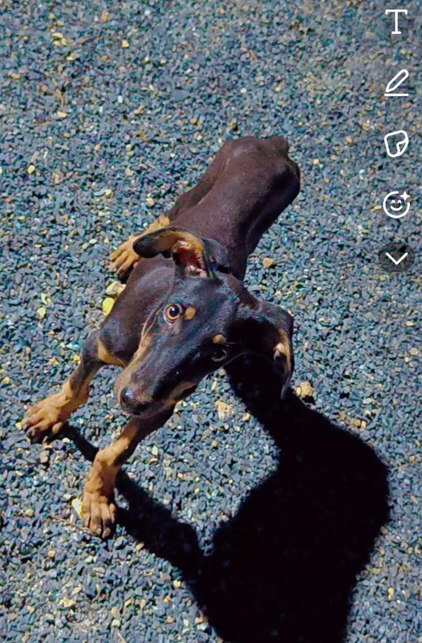 Lio - Manpur, Maihar