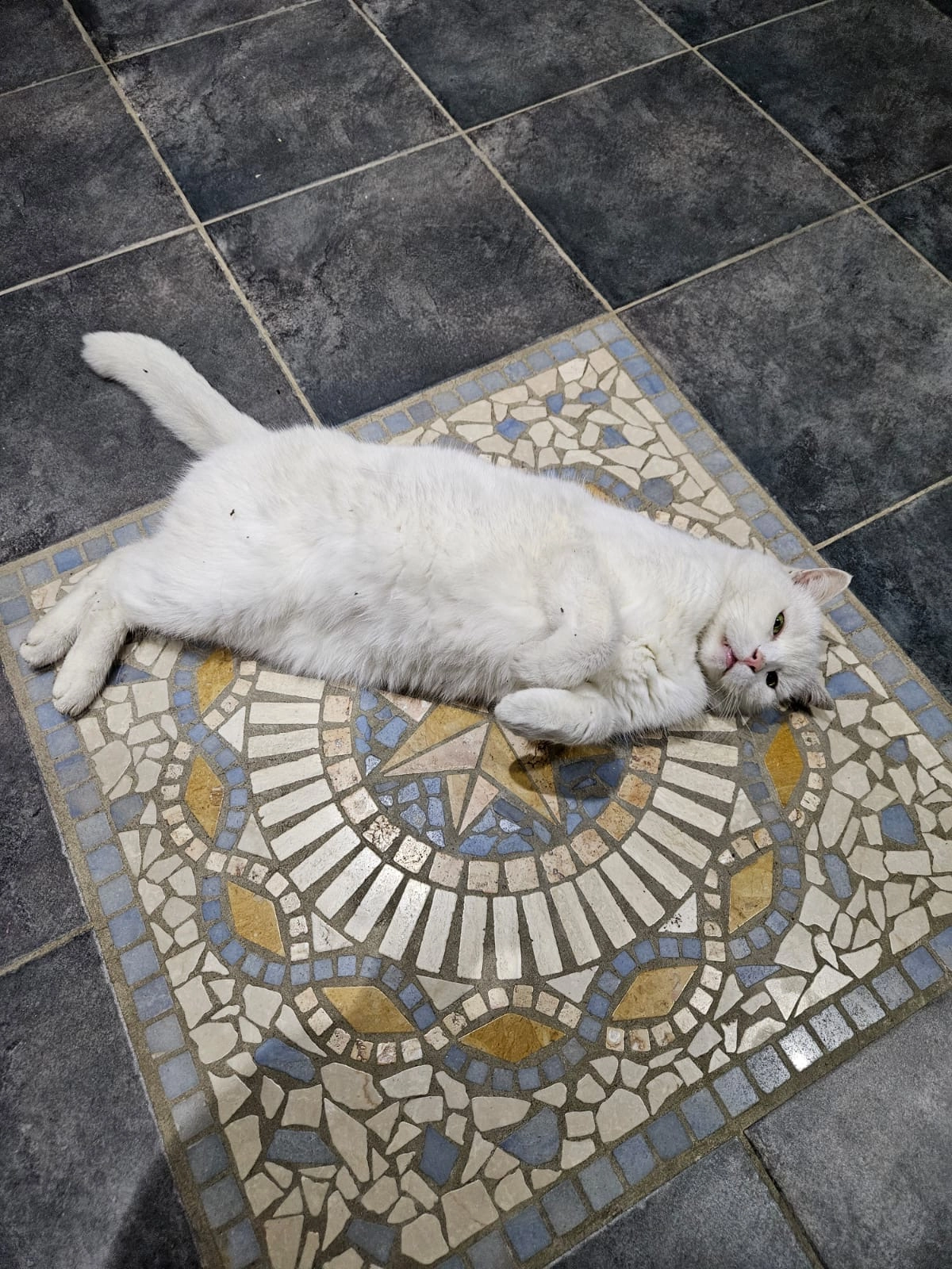 Semi - Hauptstraße, Westendorf