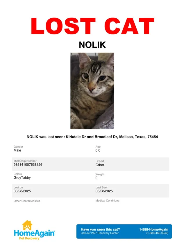 Nolik - Kirkdale Dr, Melissa