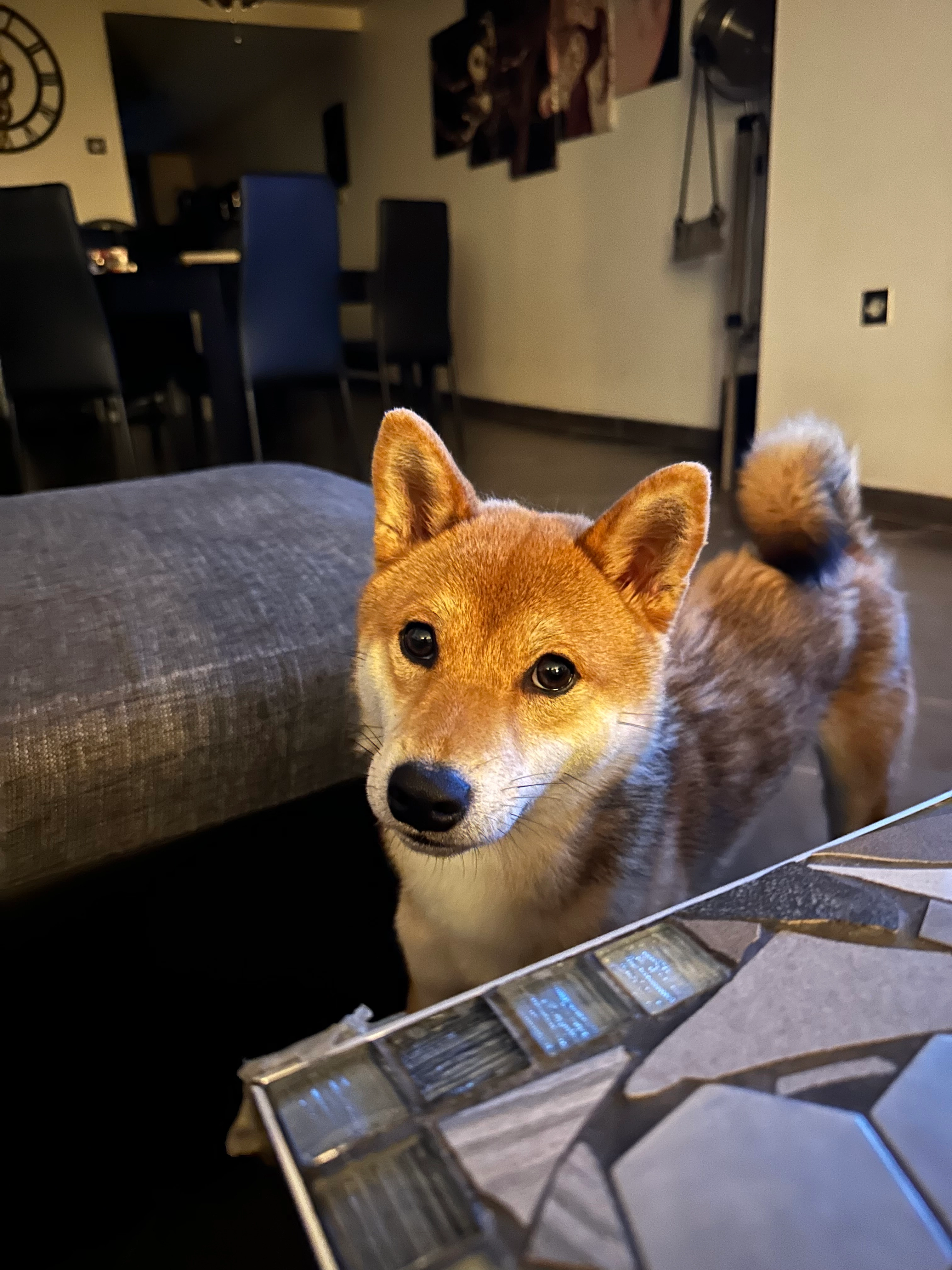 Uyakuu  - 41 Rue Principale, Coume