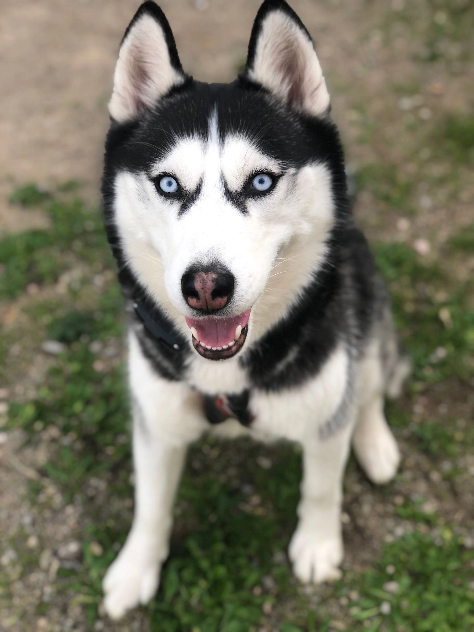 Everest - 500 Chemin de Saint-Esprit, Draguignan