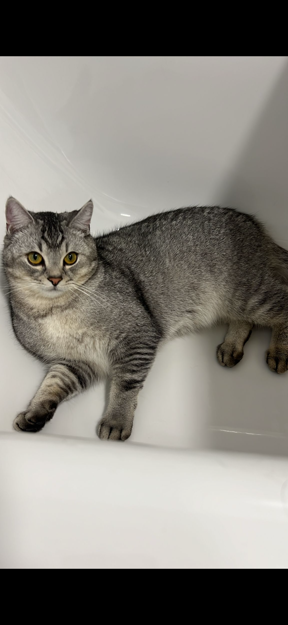 Sky - Händelstraße, Weißenfels