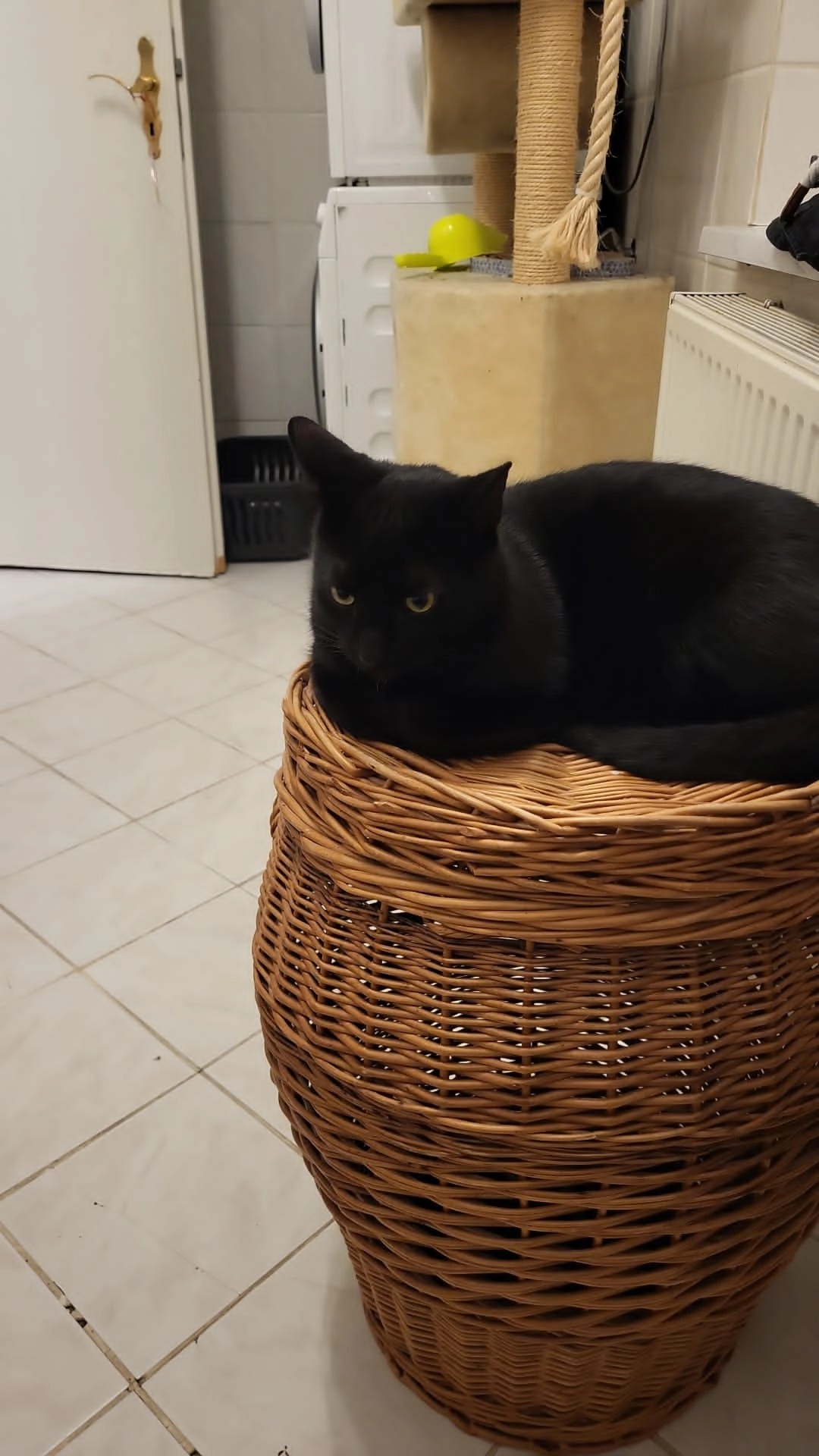 Baby - Weinbergstraße 3, Zehdenick