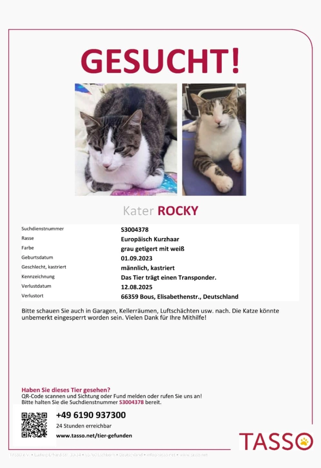 Rocky - Elisabethenstraße, Bous