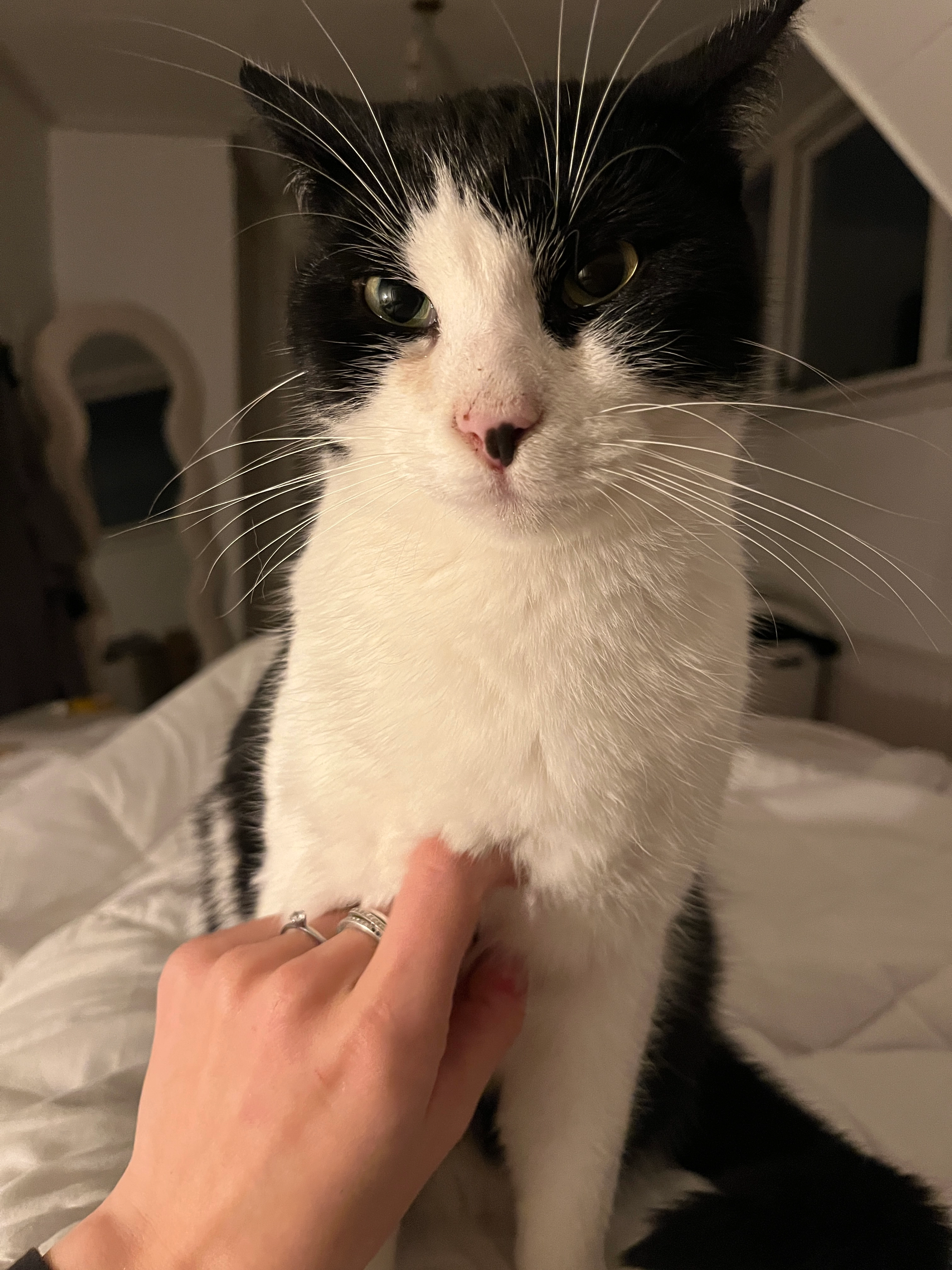 Abel - Meerweg, Breezand