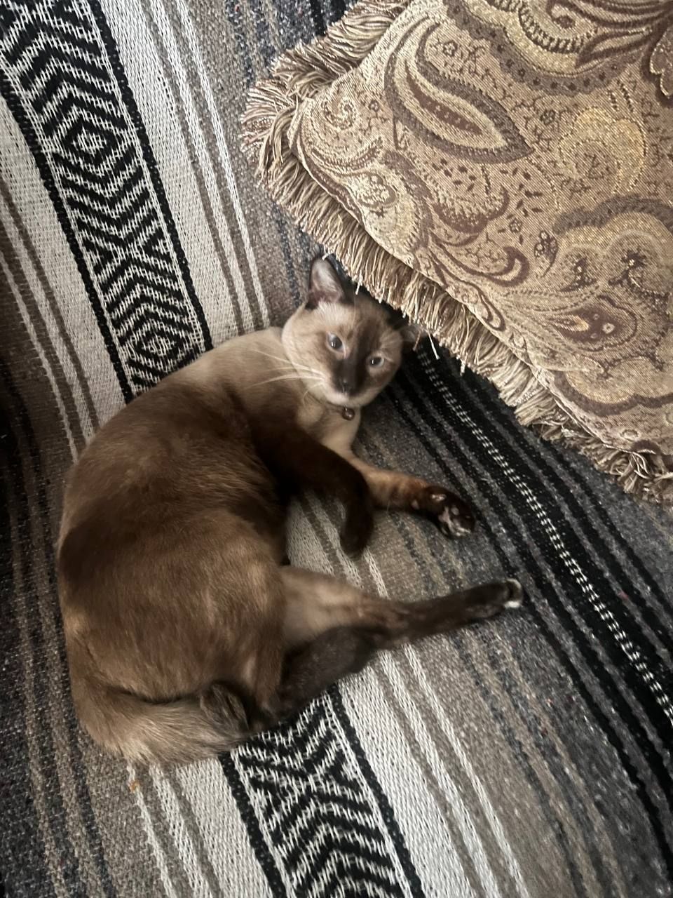 Meoh - 120407, Phnom Penh