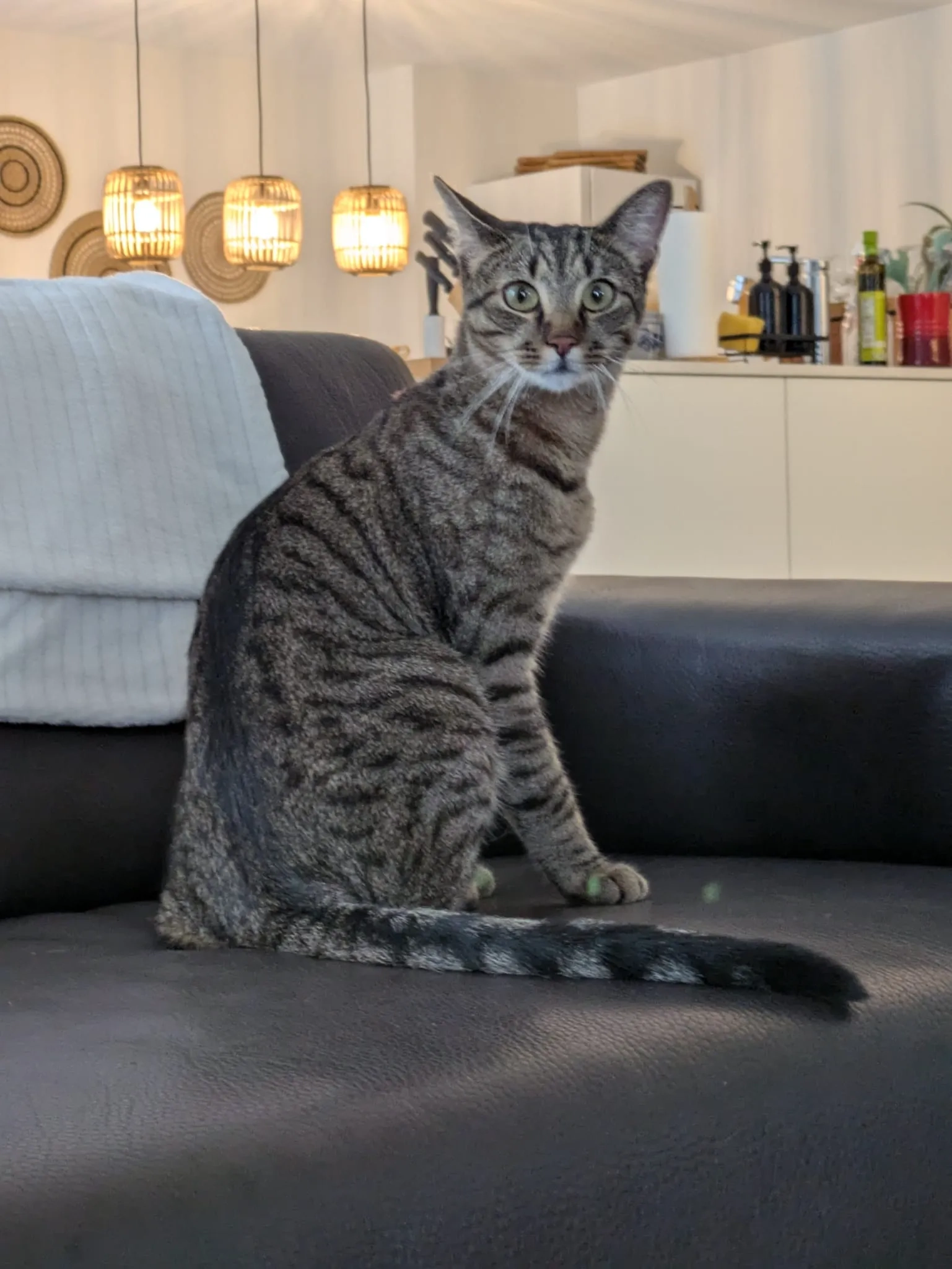 Romeo/Milo - Vitg Pign, Flims