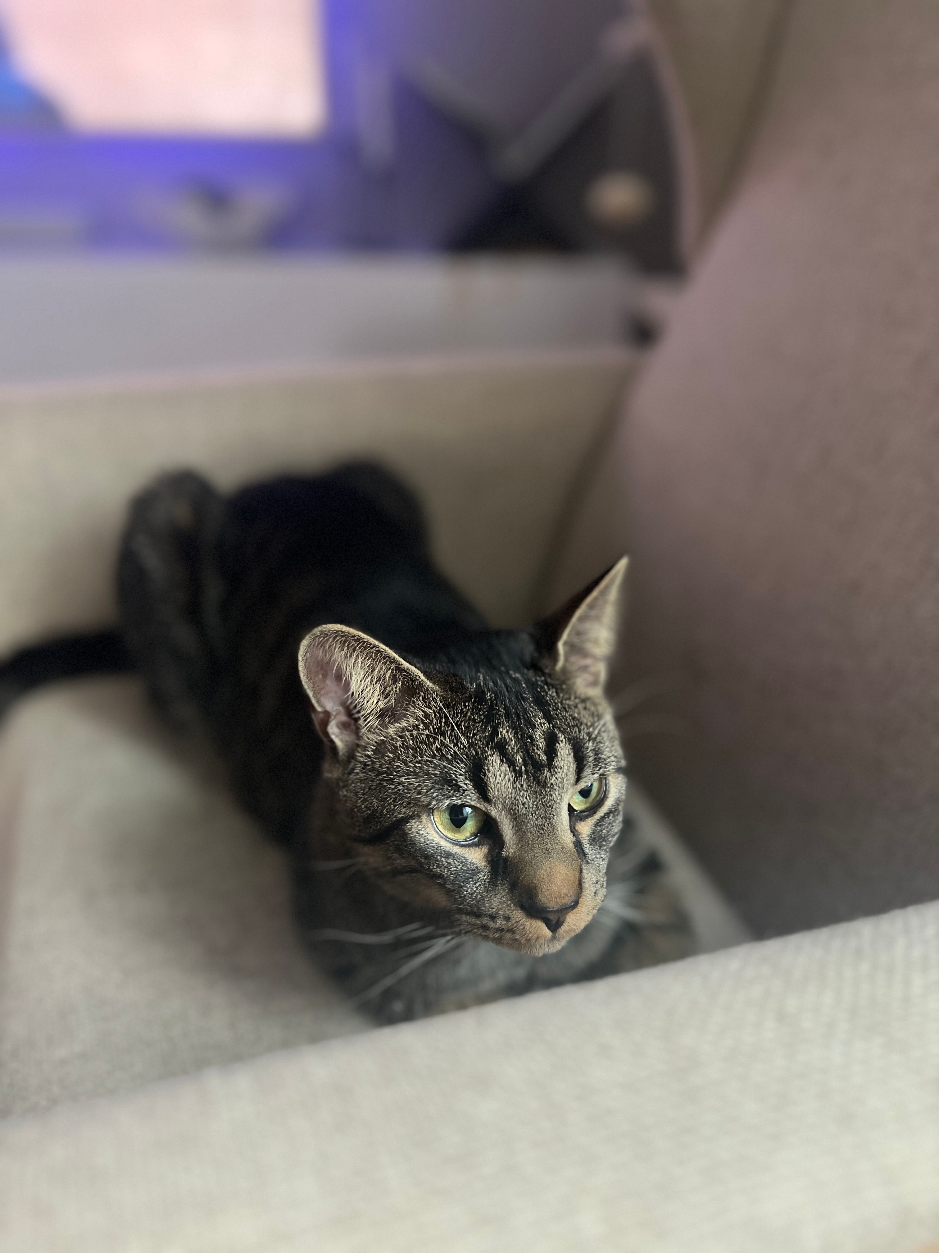 Adam - Kapellenstraße, Weilersbach