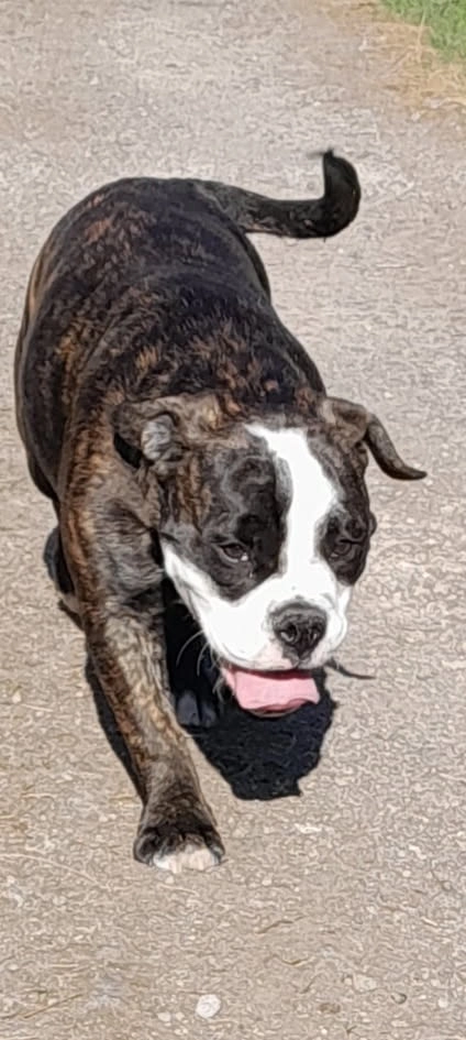 Vick - 74 Rue du Sénéchal, Condé-sur-l'Escaut