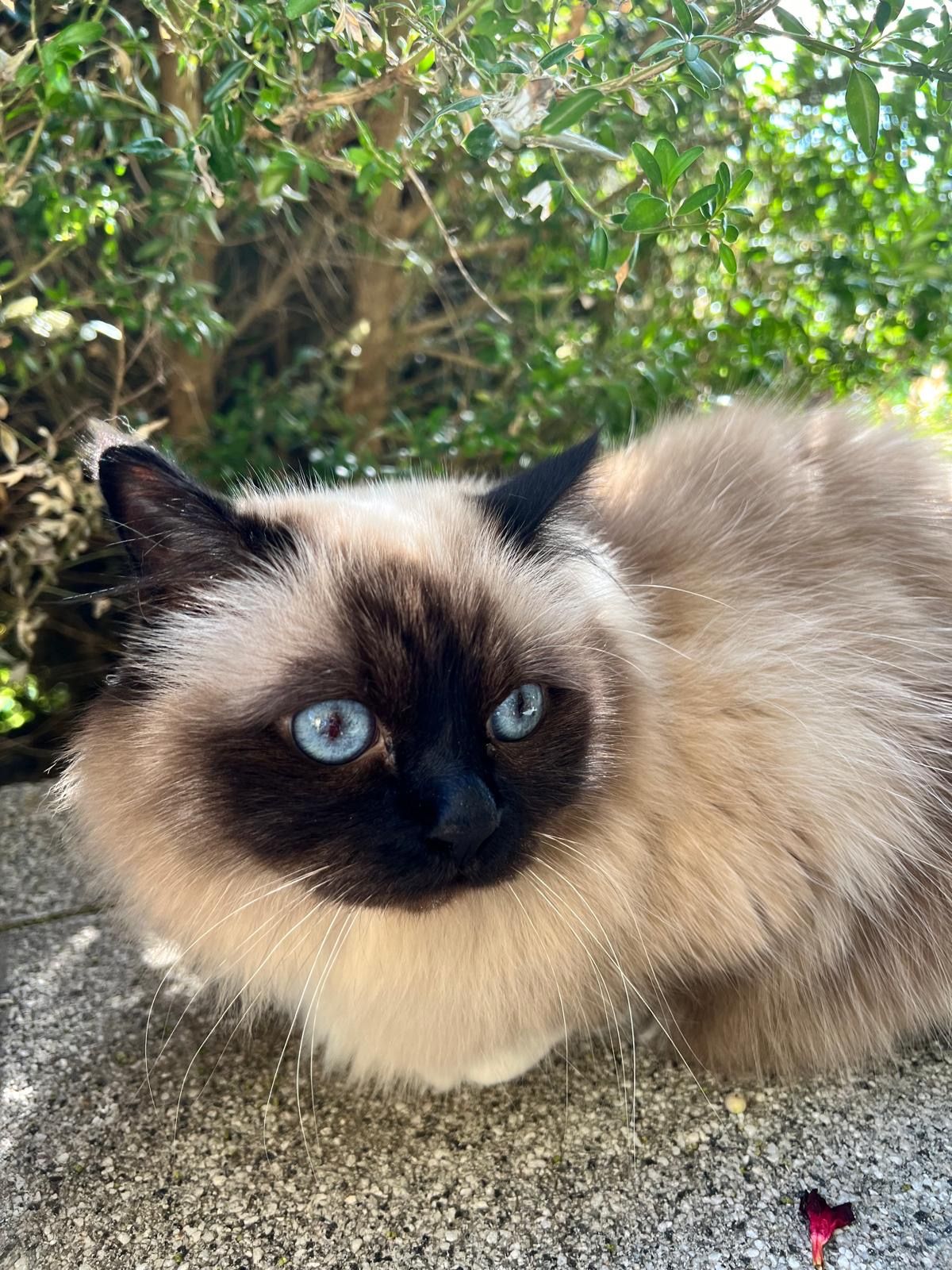 Moses - Kremser Straße 28, Stetteldorf am Wagram