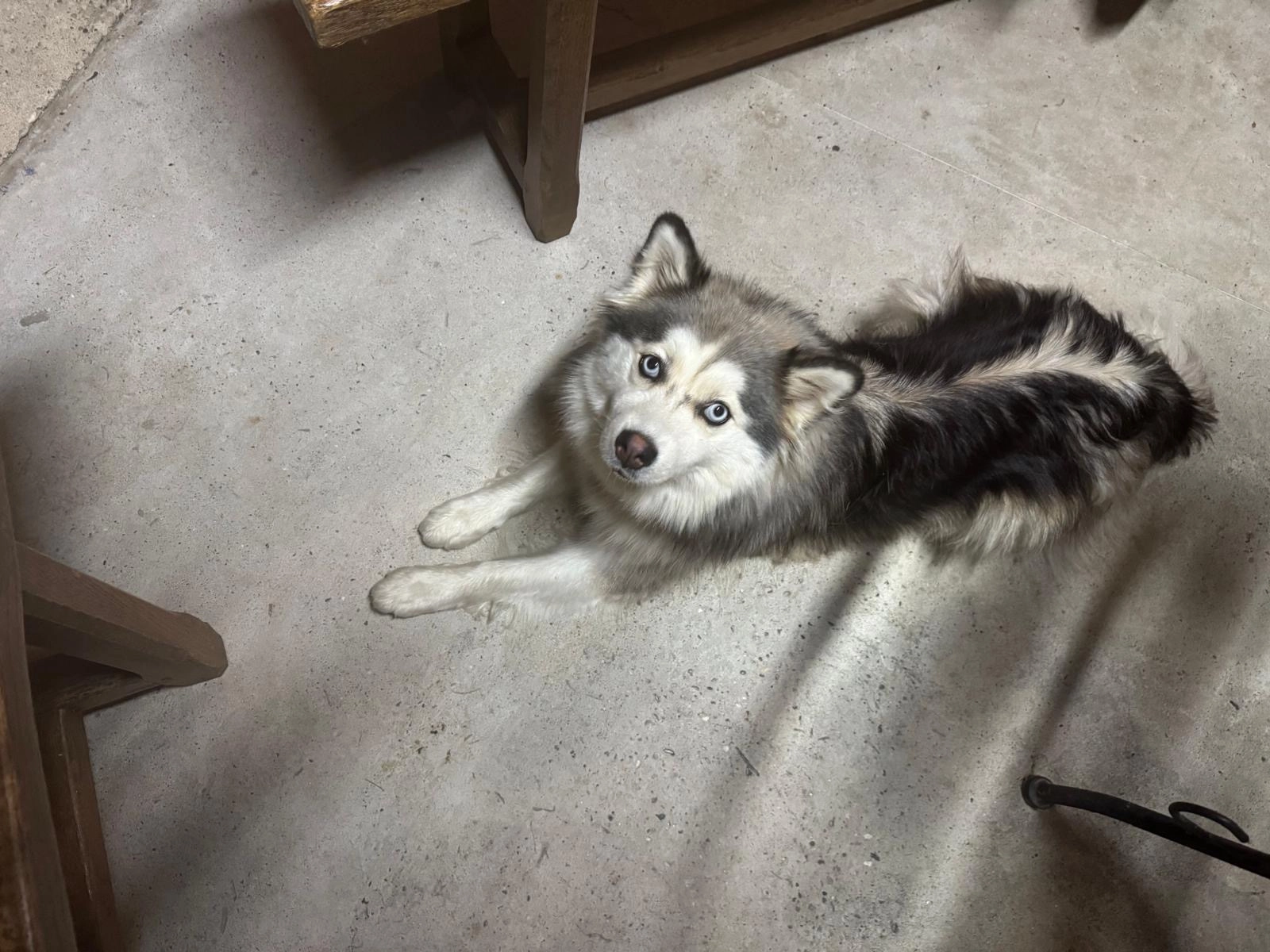 Viana - 26 Rue Blaise Pascal, Collonges-au-Mont-d'Or