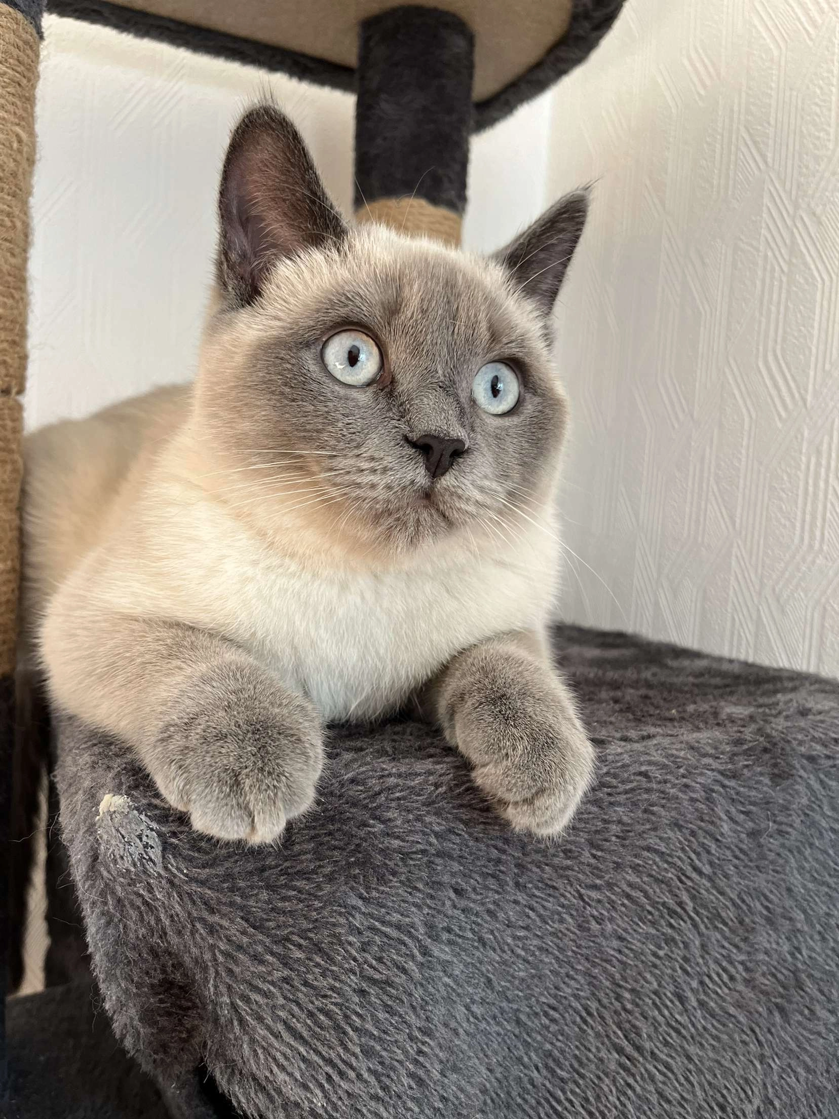 Simba - Lampenstraße, Harpstedt