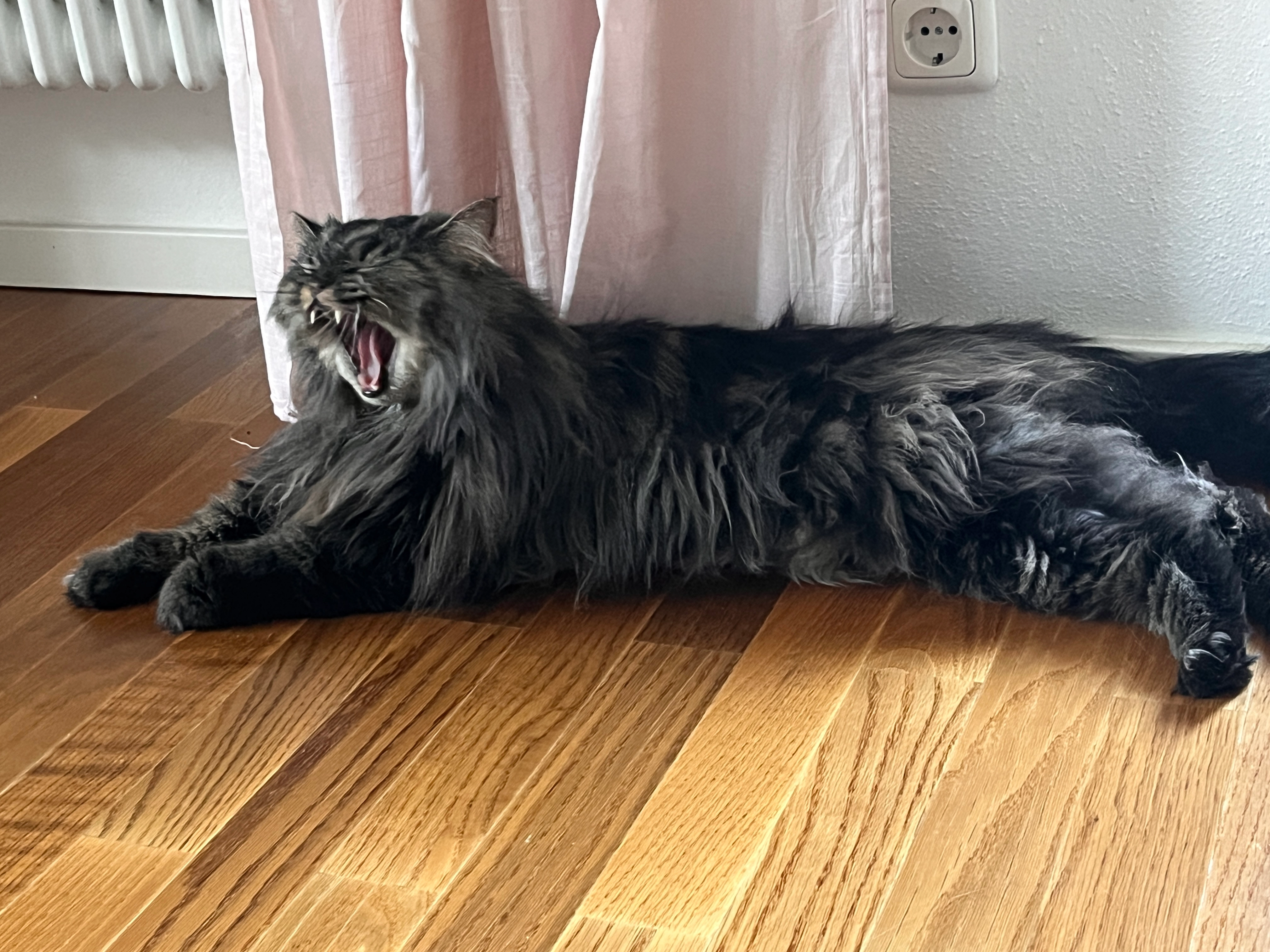 Leo - Kreuter Straße, Stephanskirchen