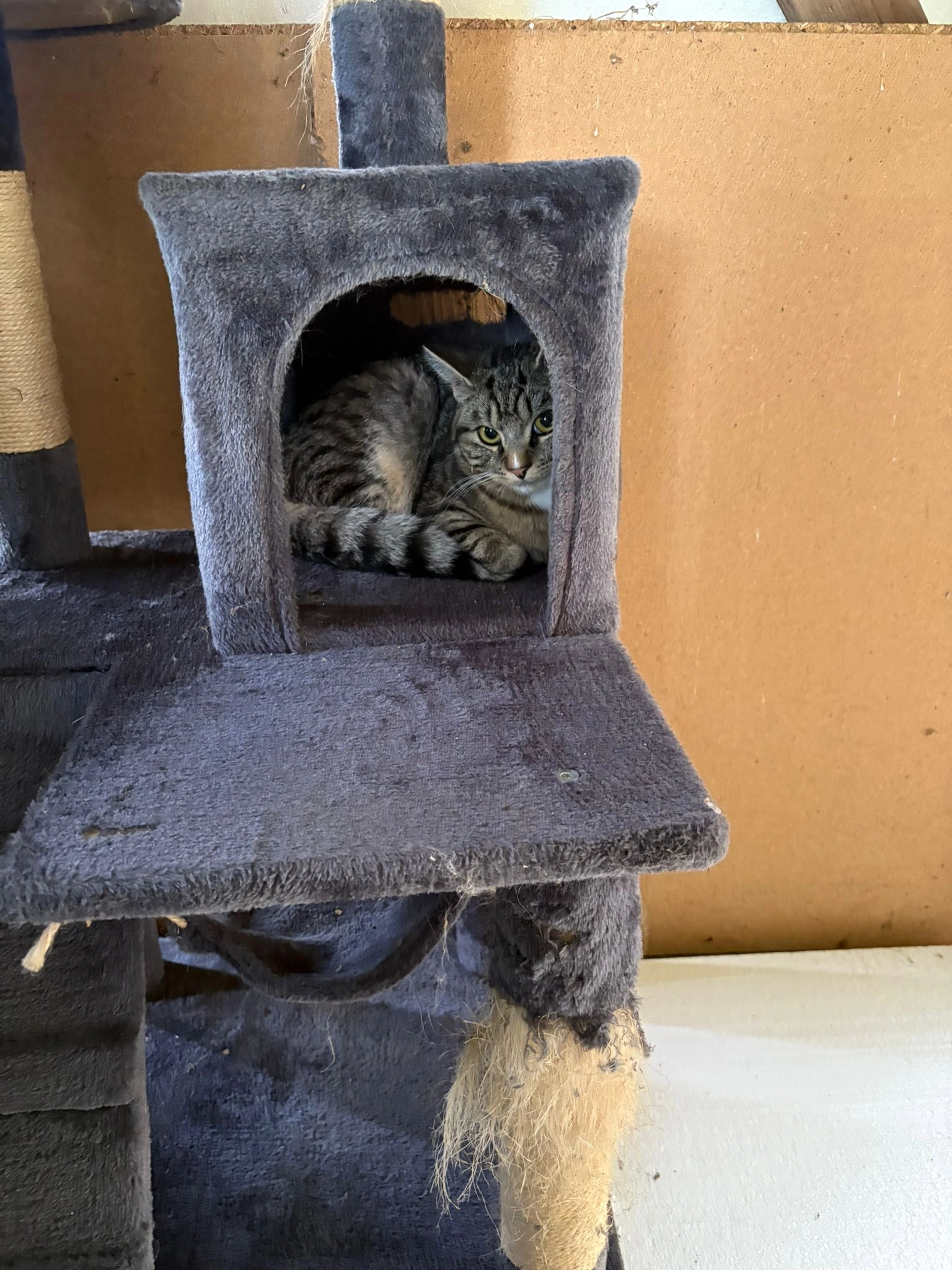 Marius - Heinschenwalder Straße, Geestland