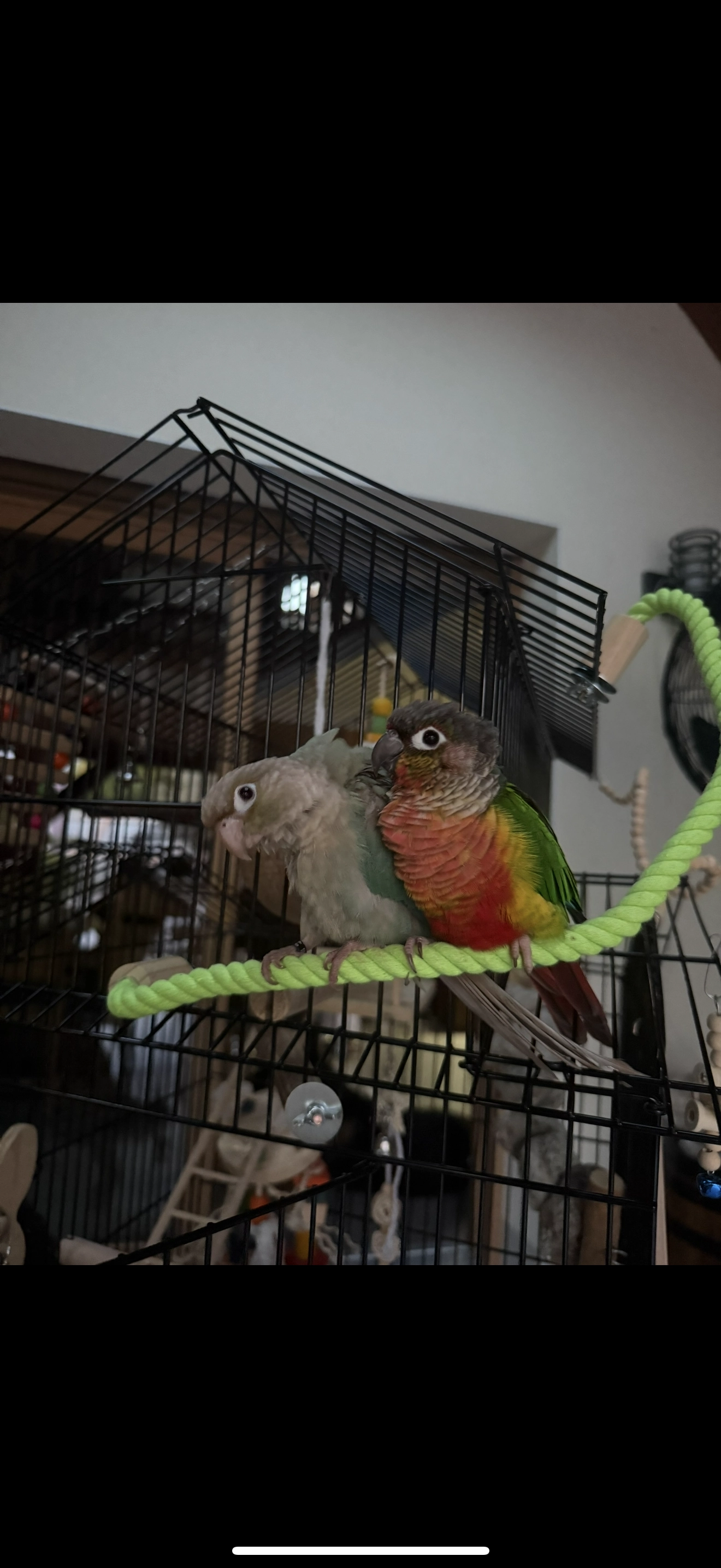 poopi - Rue Jean Leblanc, Pogny