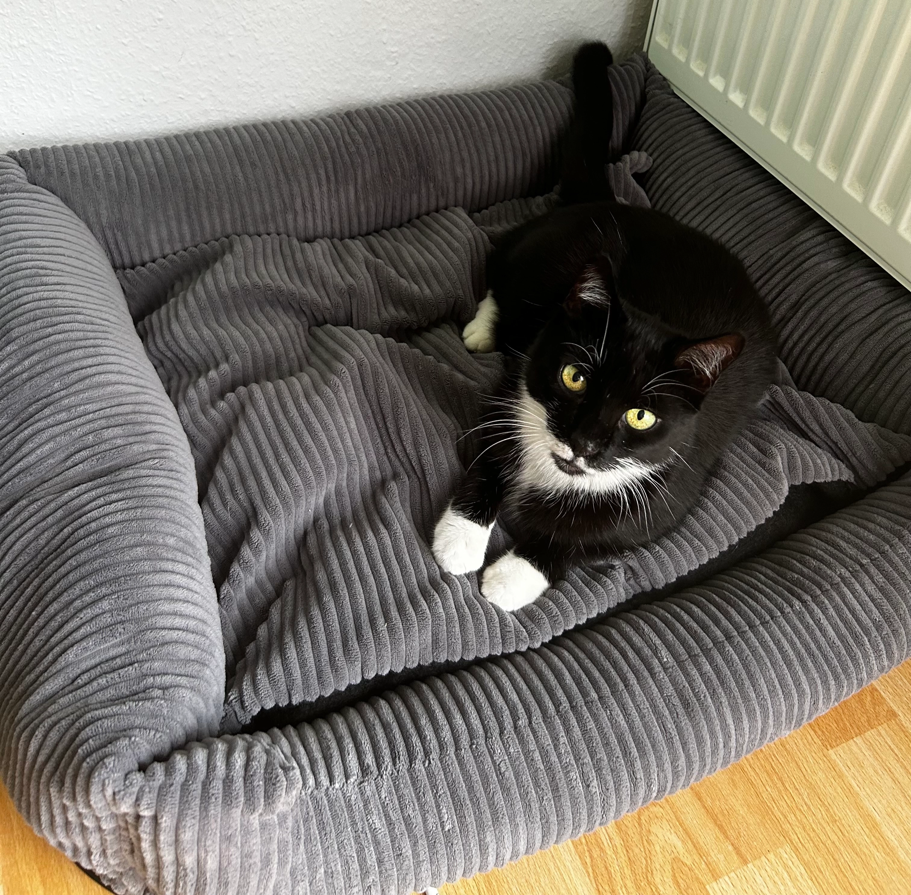 Max - Bahnhofstraße, Bad Harzburg