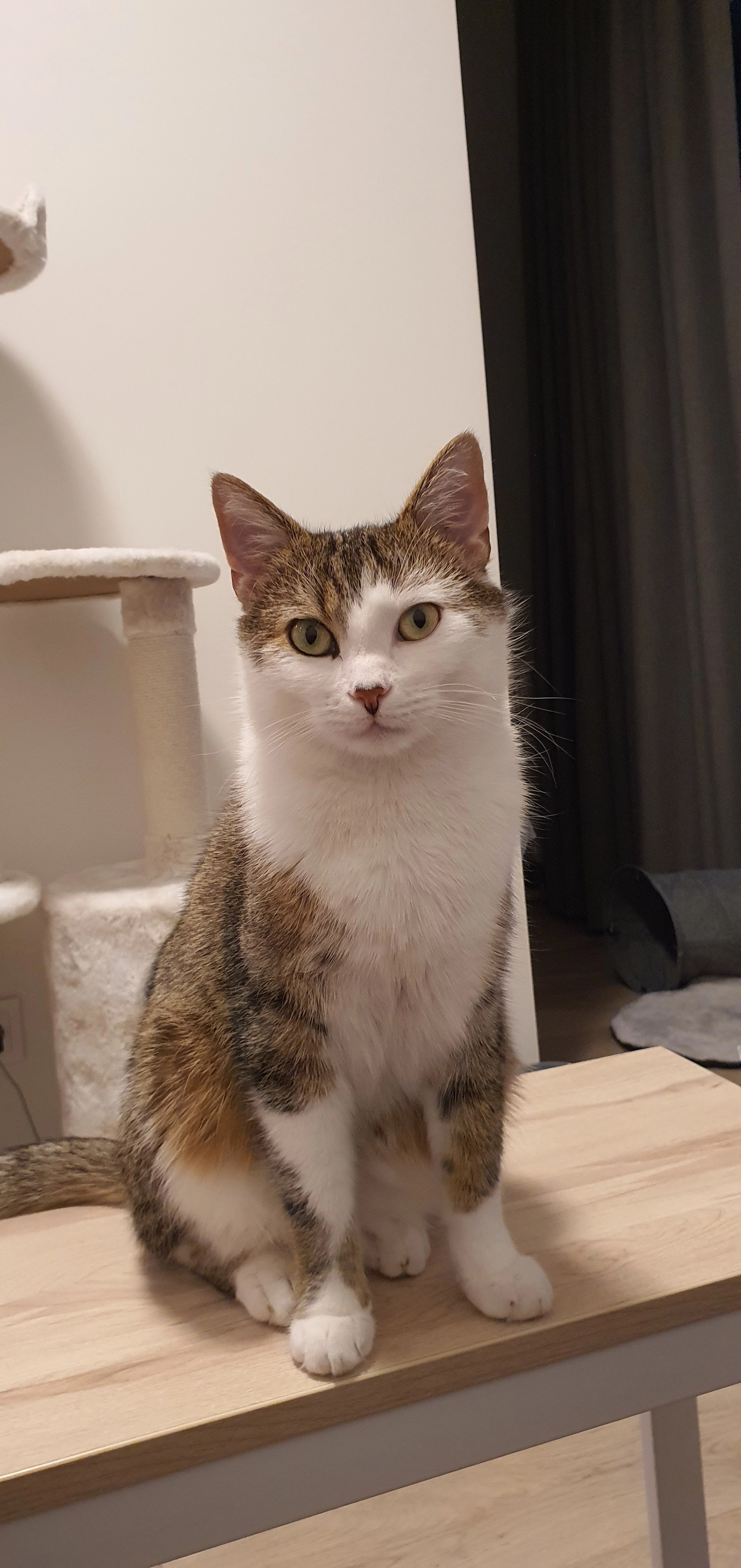 Manis - V. Sezemano gatvė, Vilnius