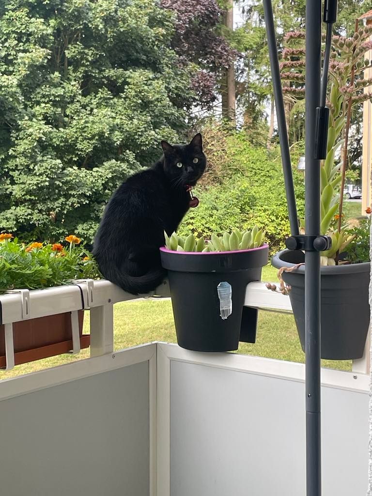 Leo - Herderstraße, Neustadt an der Donau