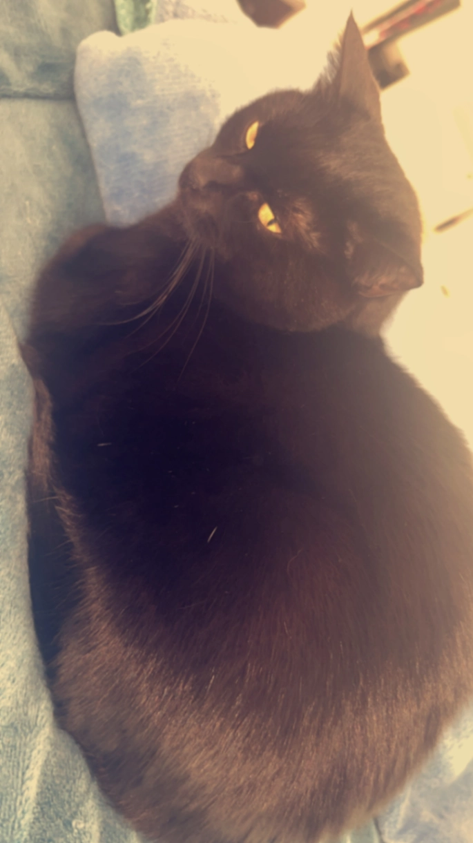 Lucky - 51 Rue de Mensdorf, Schuttrange