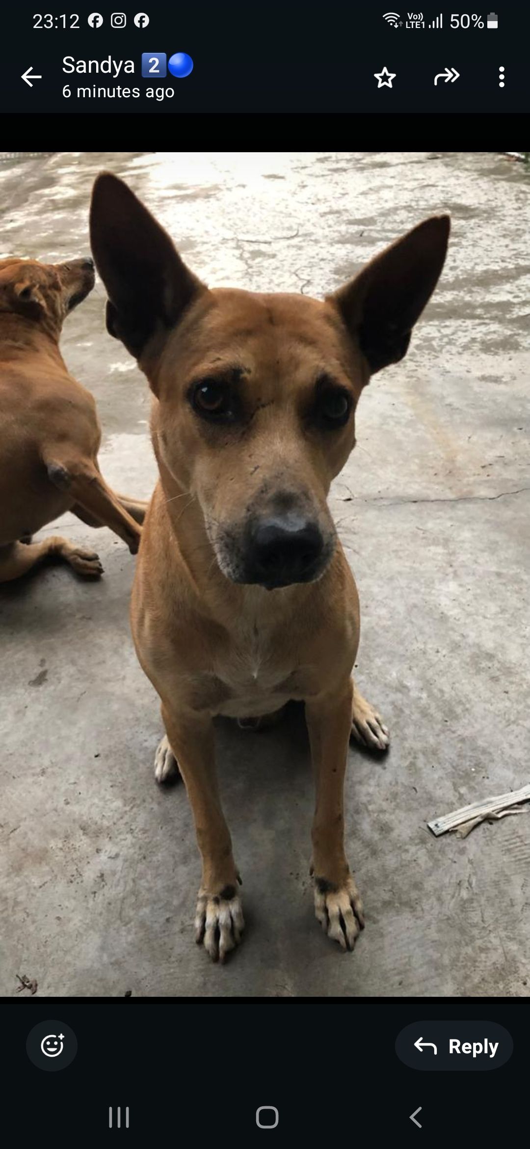 Leo - 47130, Puchong