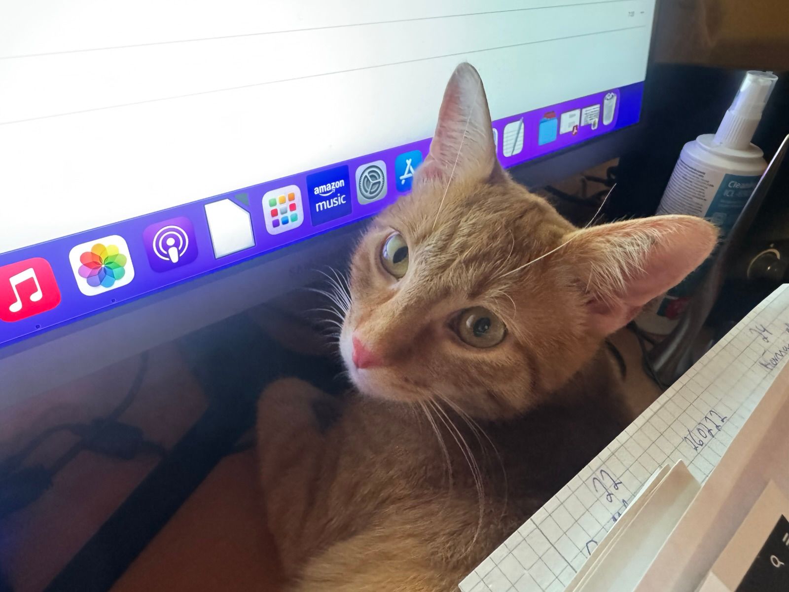 Fips - Weyerer Straße, Gochsheim