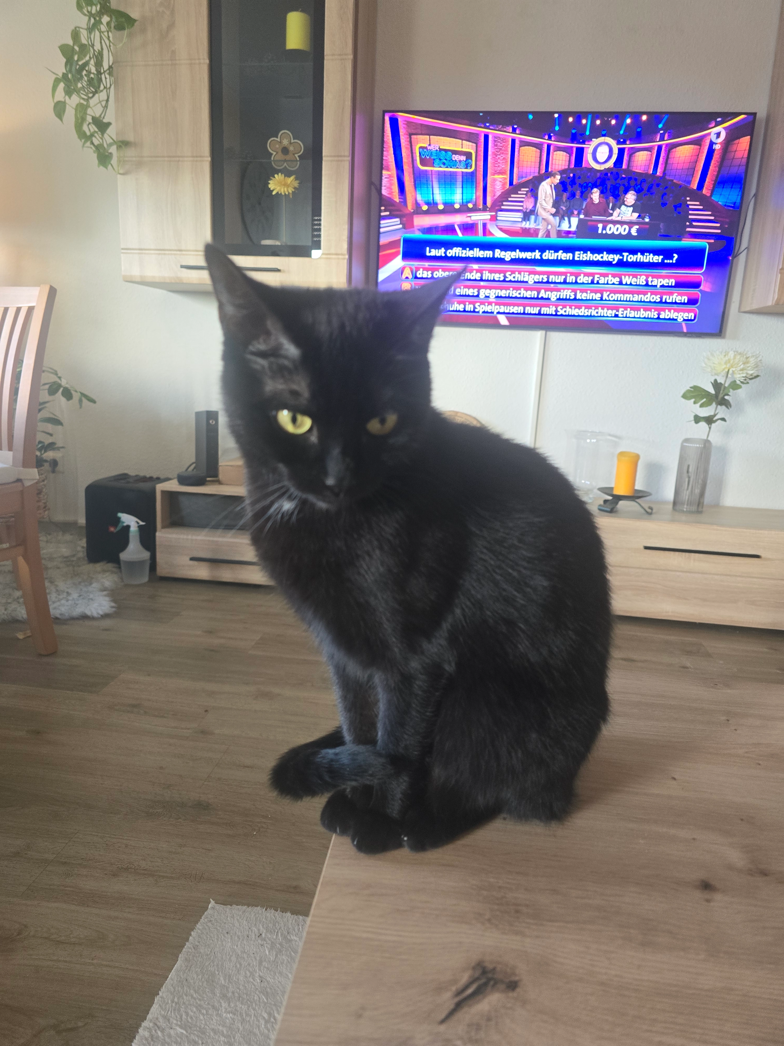 Mitzi - Goerdelerstraße, Reutlingen