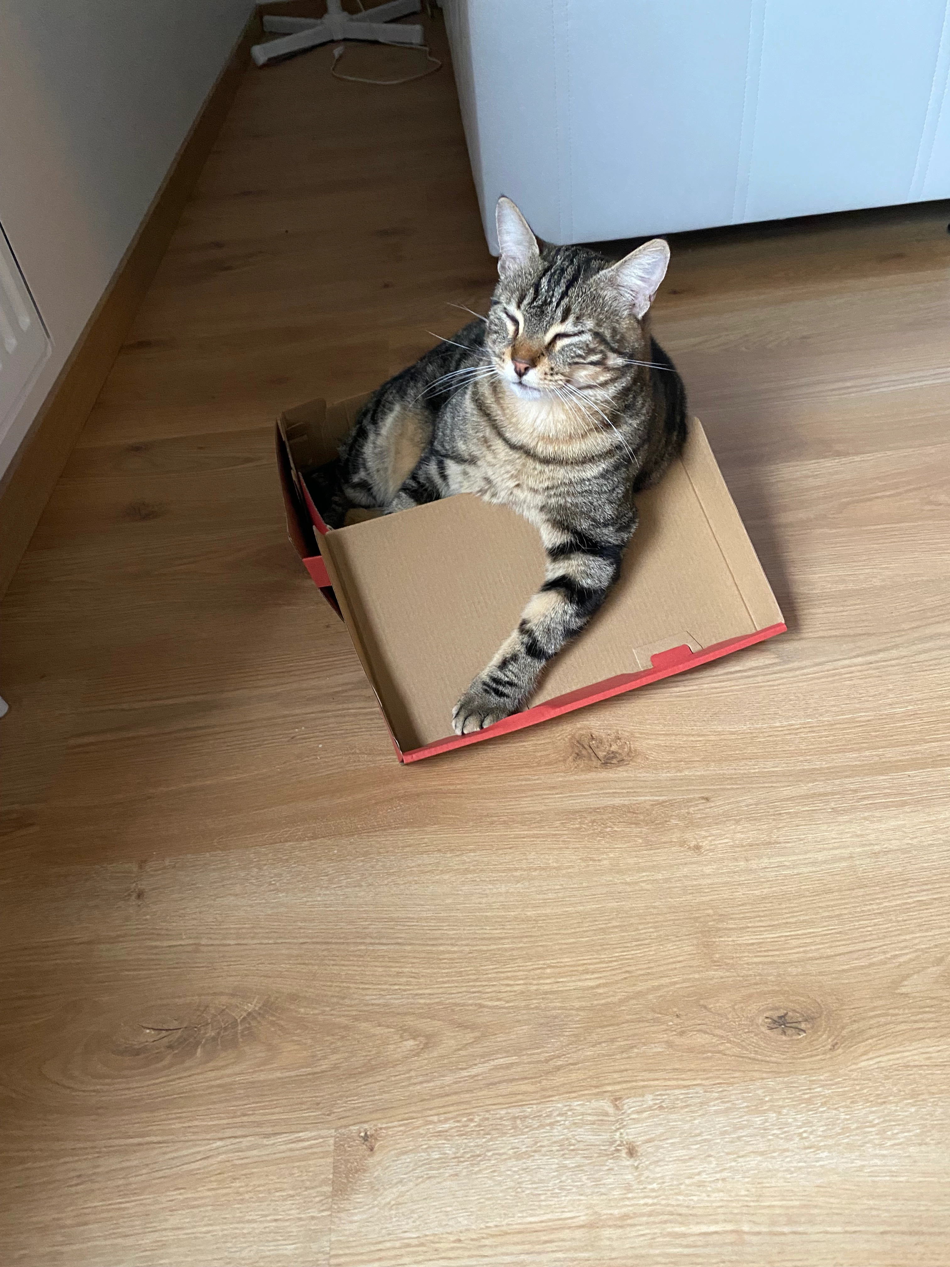 Noopy - Rue du 11 Novembre, Lempdes