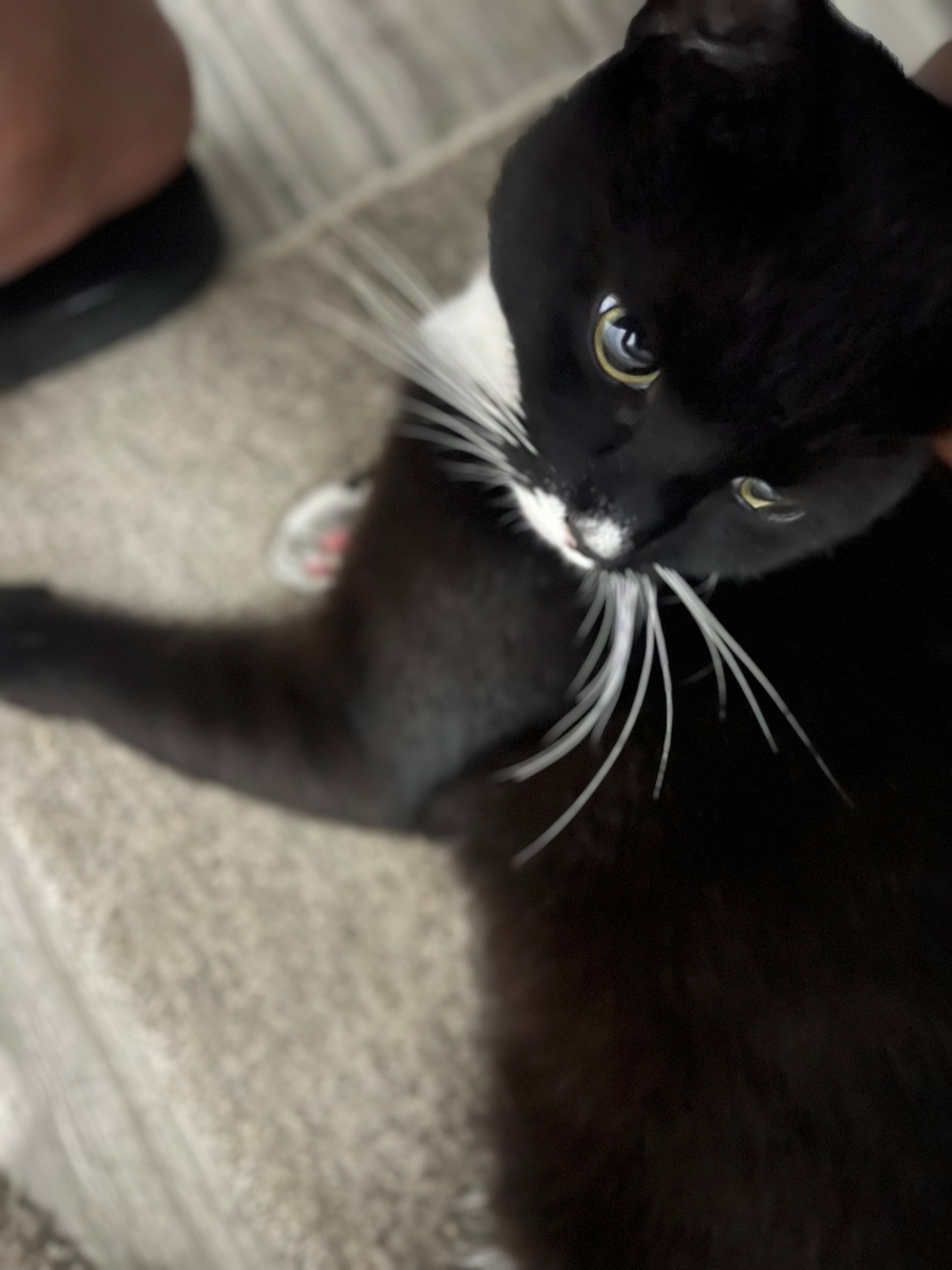 Timi - Pencader Road, Cardiff