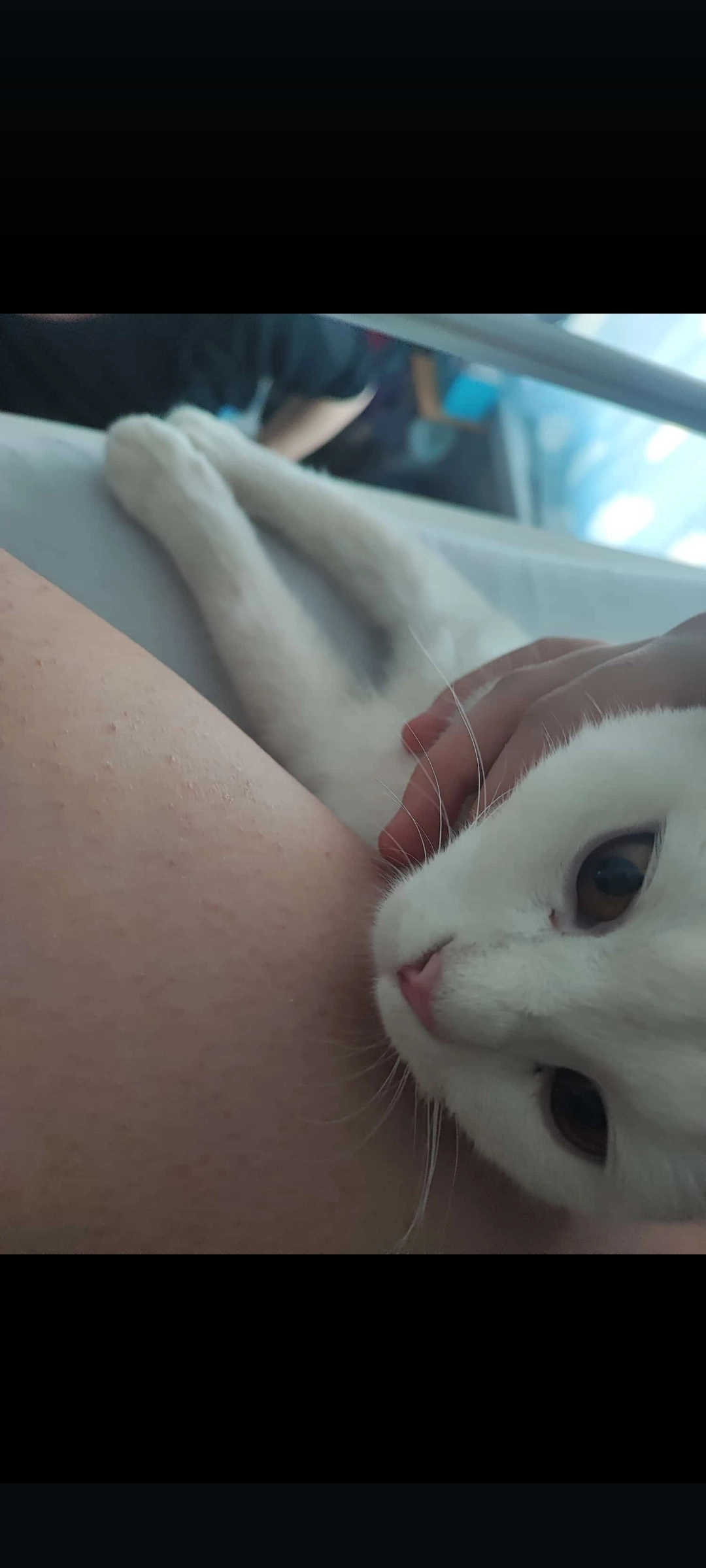 Keine Ahnung ich hab sie gefunde - 16303, Schwedt/Oder