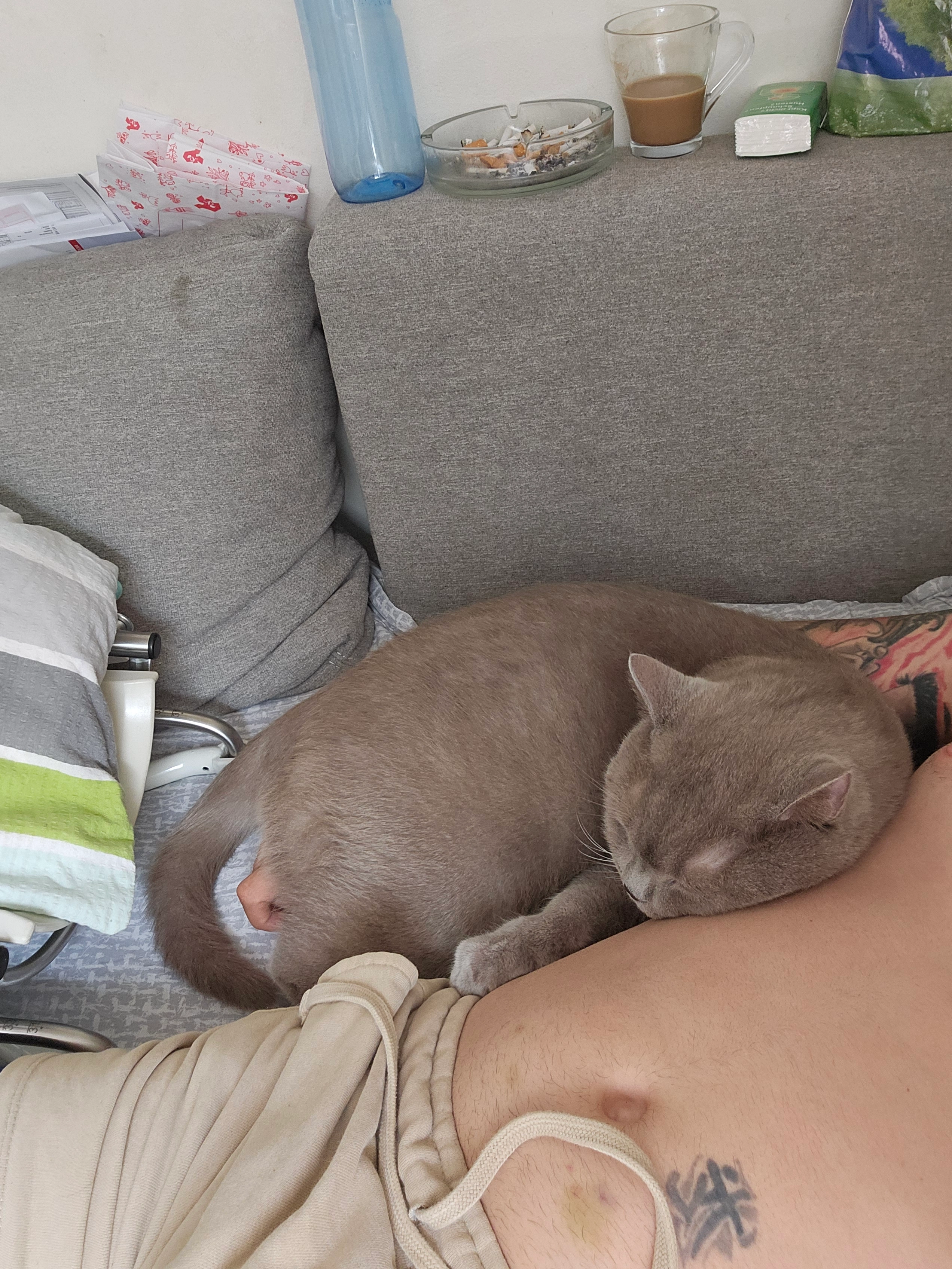 Tommy - Riedtfurtstraße, Güglingen