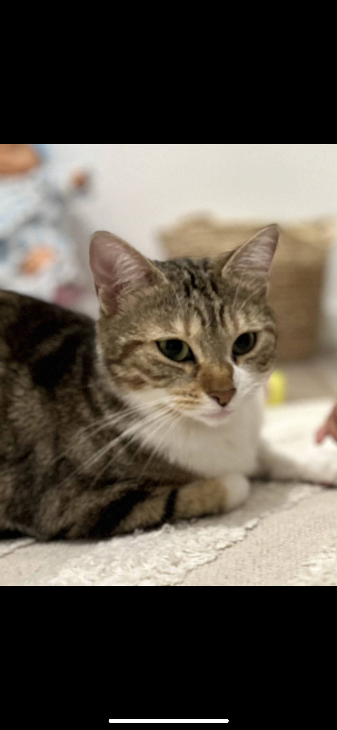 Mira - Rue De Royan, La Rochelle