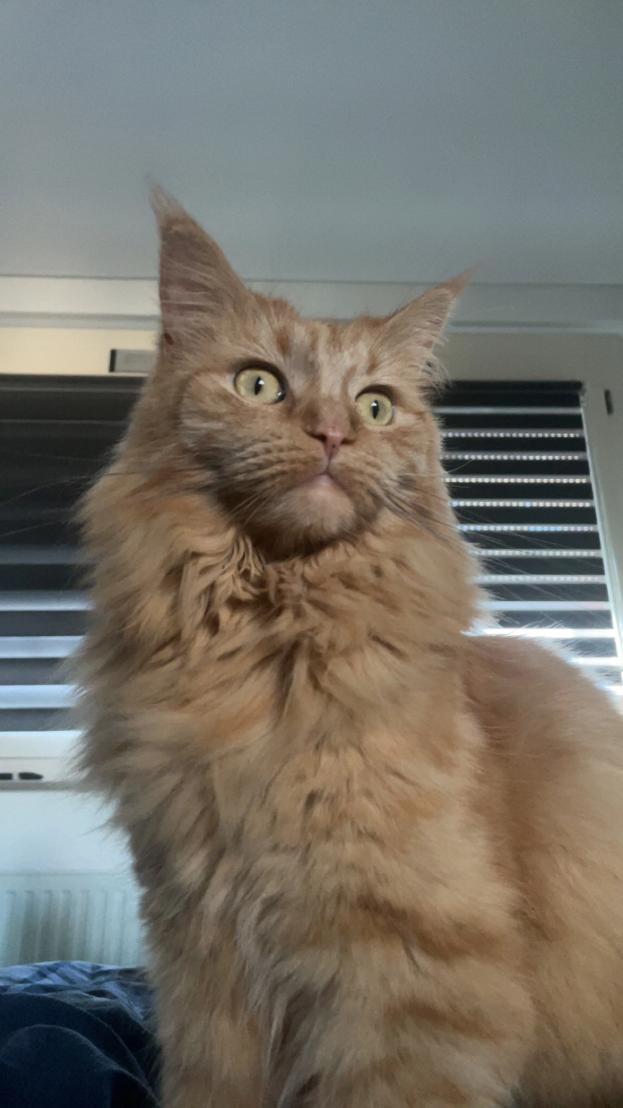 Jana - Schauinslandstraße, Nufringen