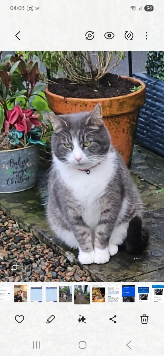 MALLEY - Alderley Place, Newtownabbey
